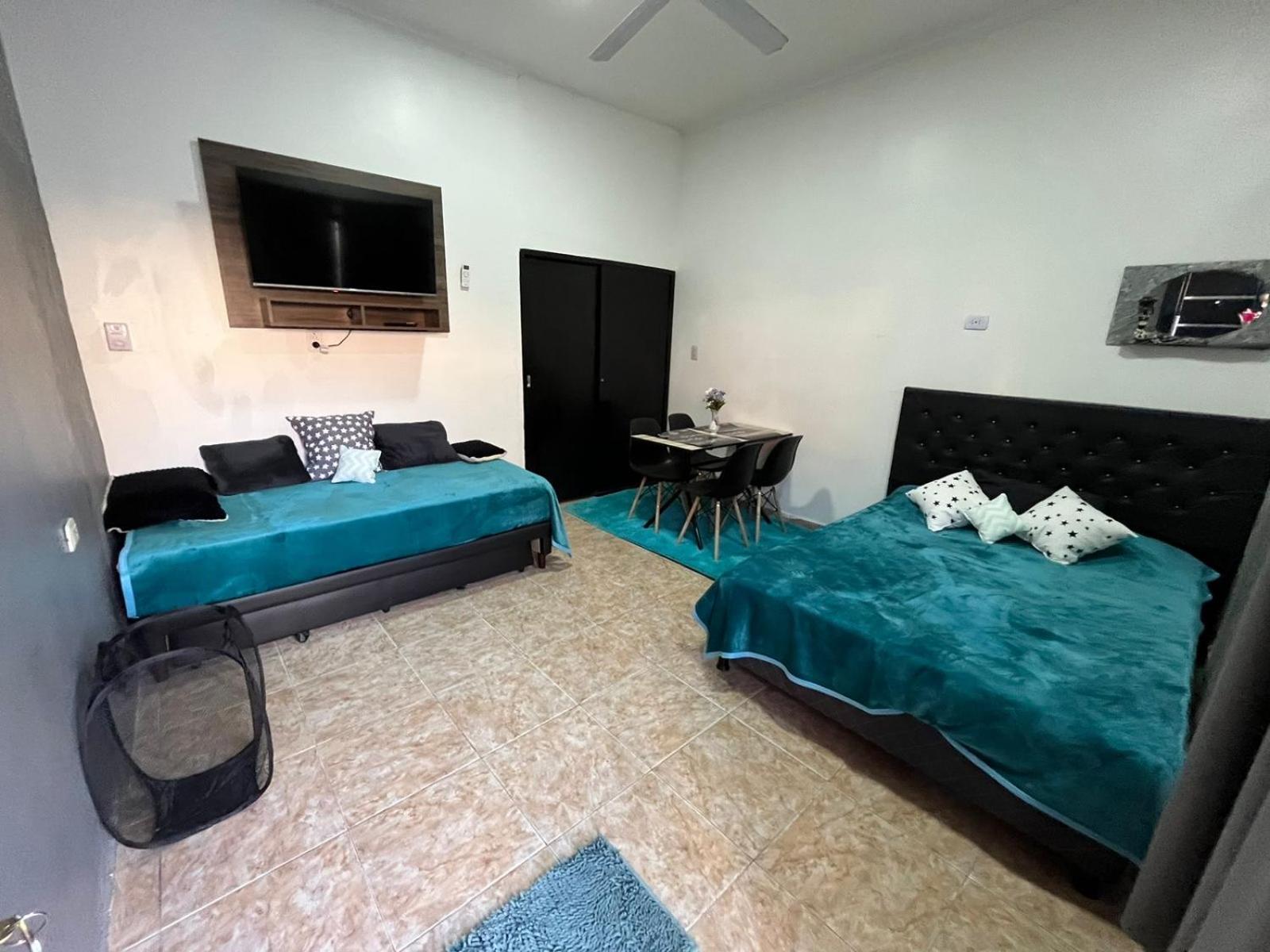 One-Bedroom Apartment photo 3