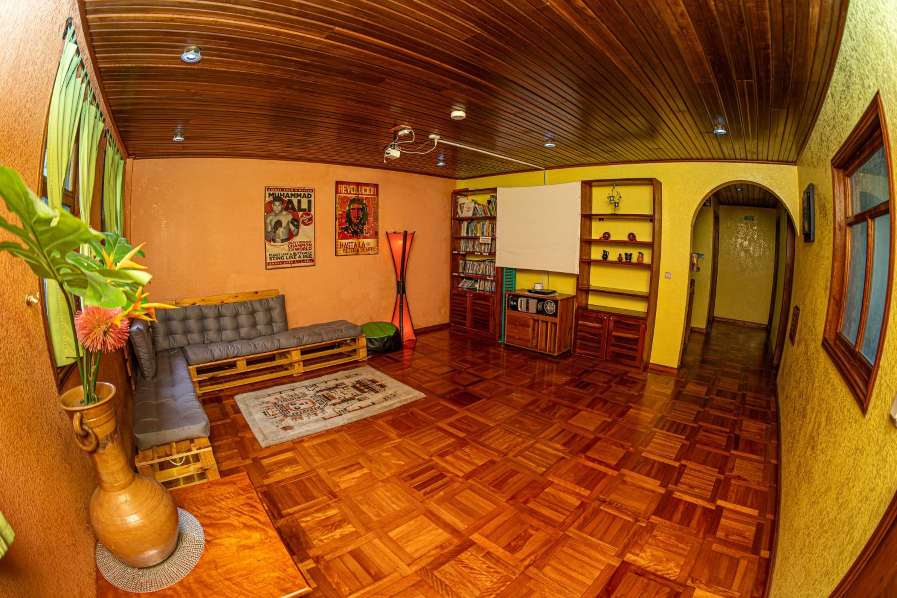 Single Bed in 5-Bed Dormitory Room photo 3