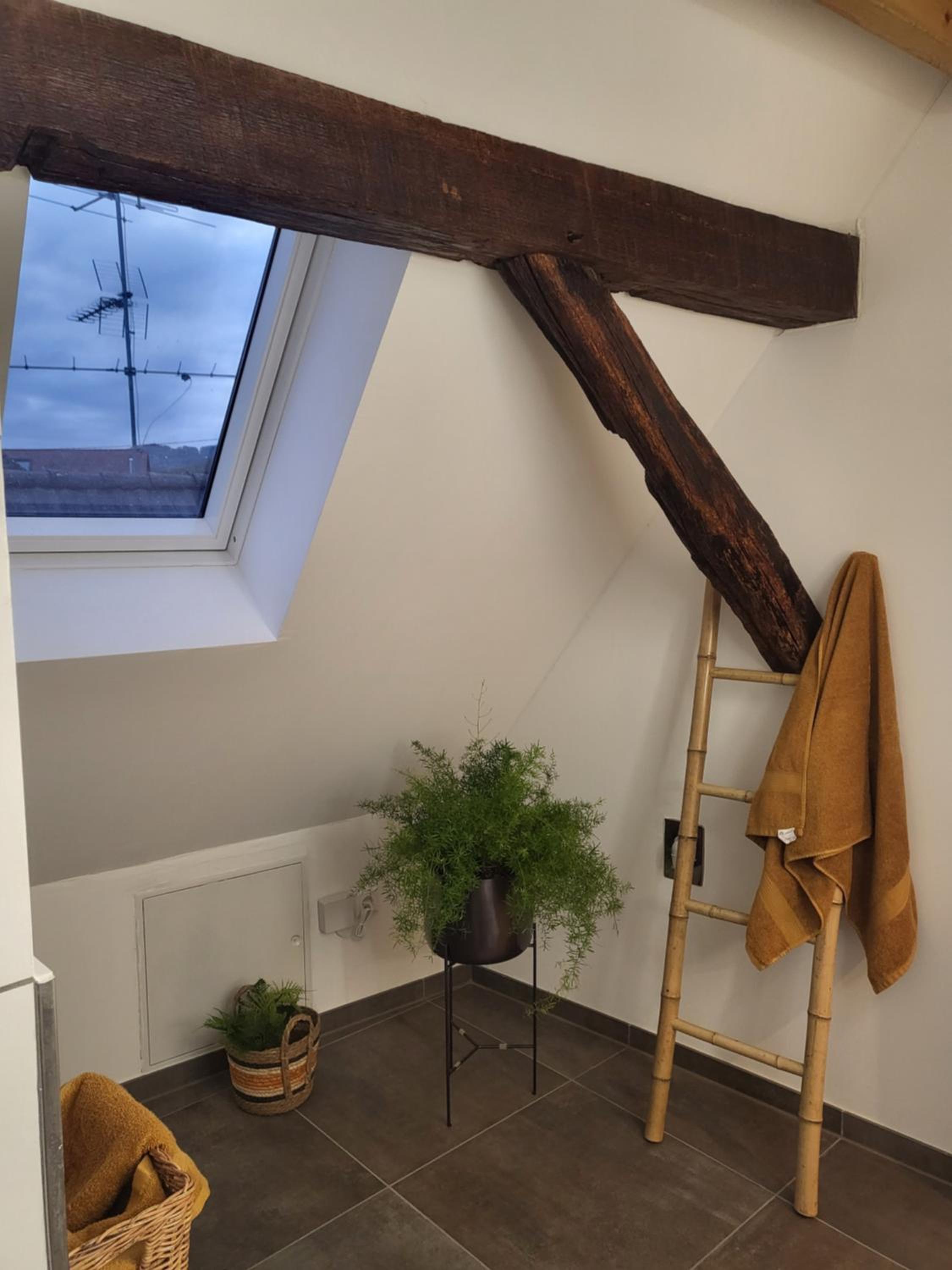 Duplex Studio photo 3
