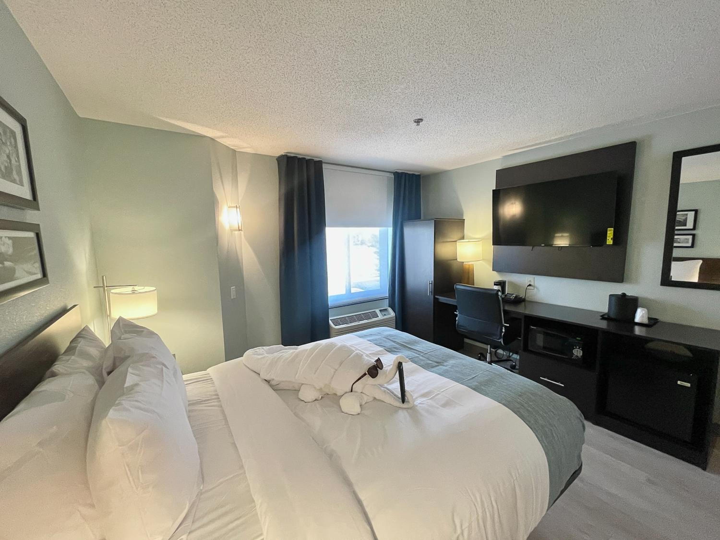 Queen Room with Bathtub and Grab Bars - Mobility Access/Non-Smoking - Photo 9