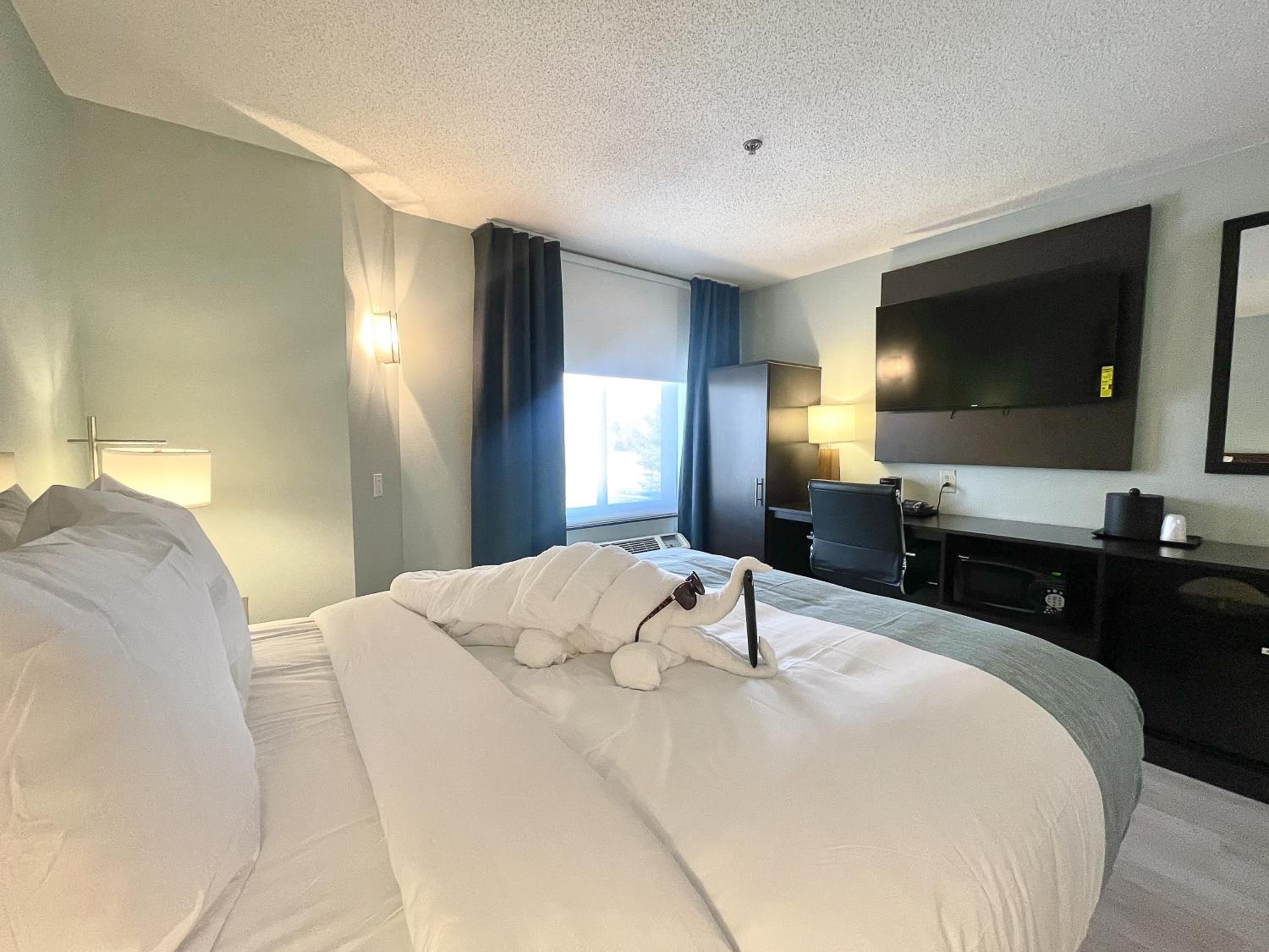 Queen Room with Bathtub and Grab Bars - Mobility Access/Non-Smoking - Photo 5