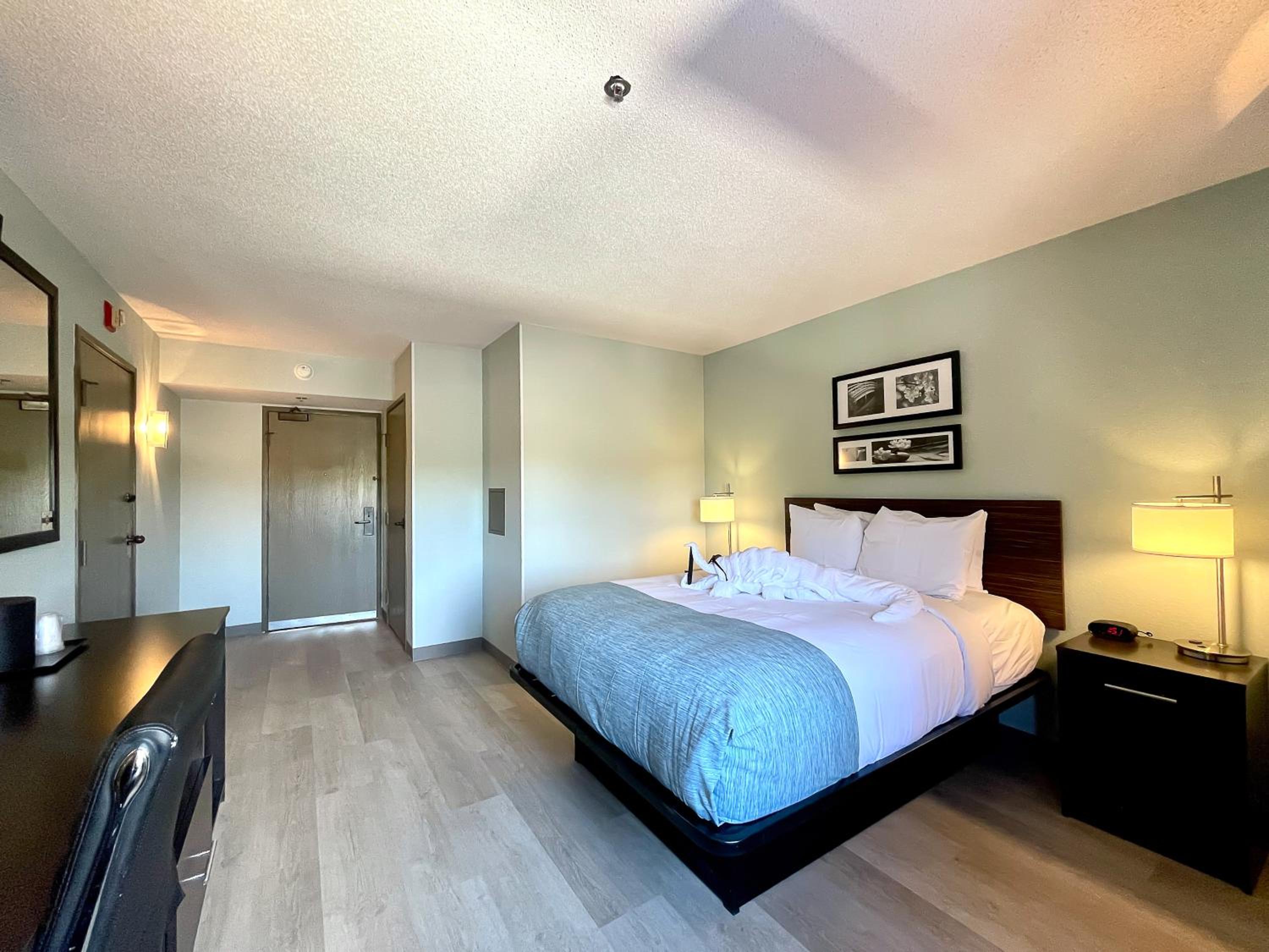 Queen Room with Bathtub and Grab Bars - Mobility Access/Non-Smoking - Photo 8