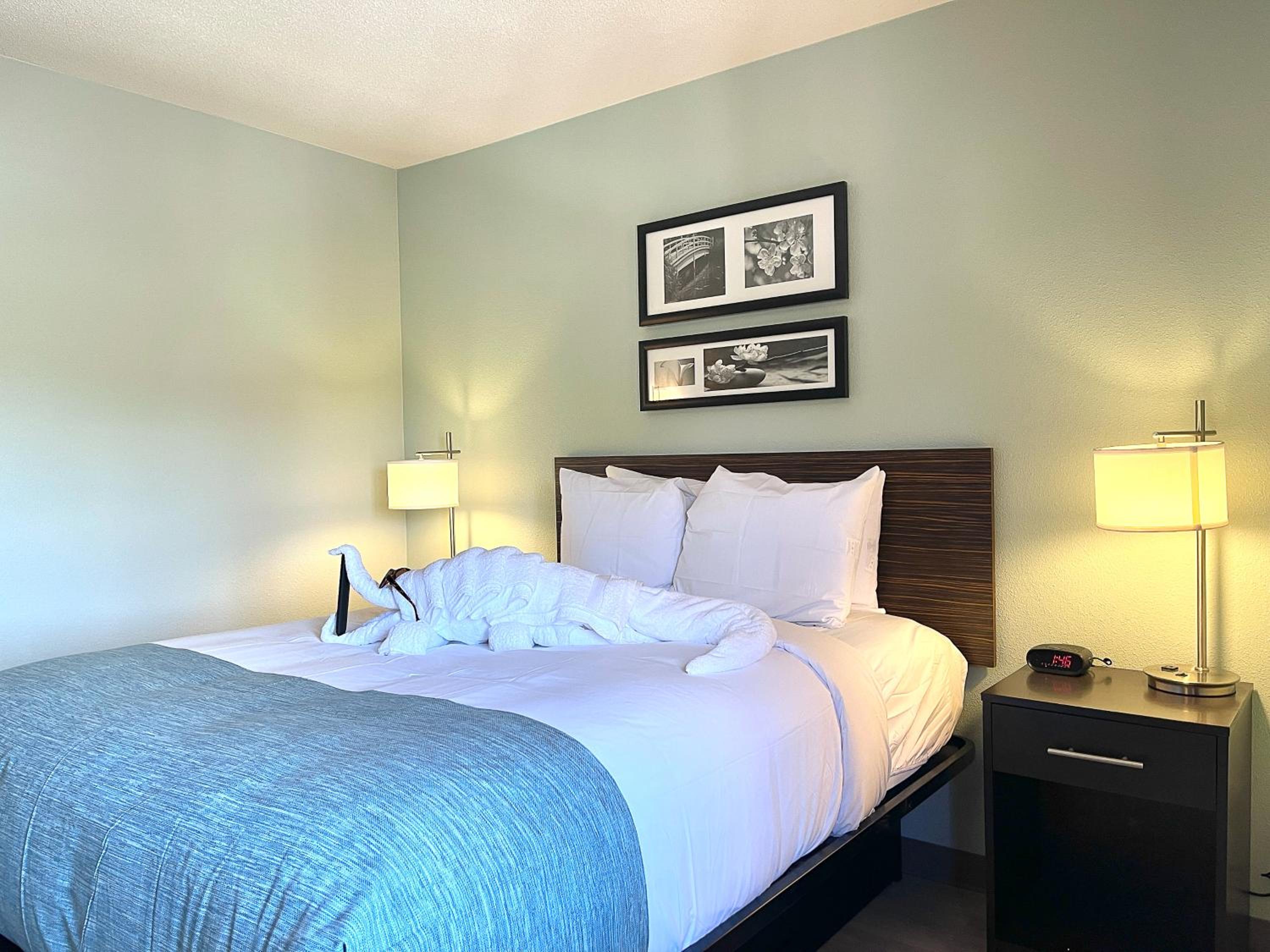 Queen Room with Bathtub and Grab Bars - Mobility Access/Non-Smoking - Photo 3