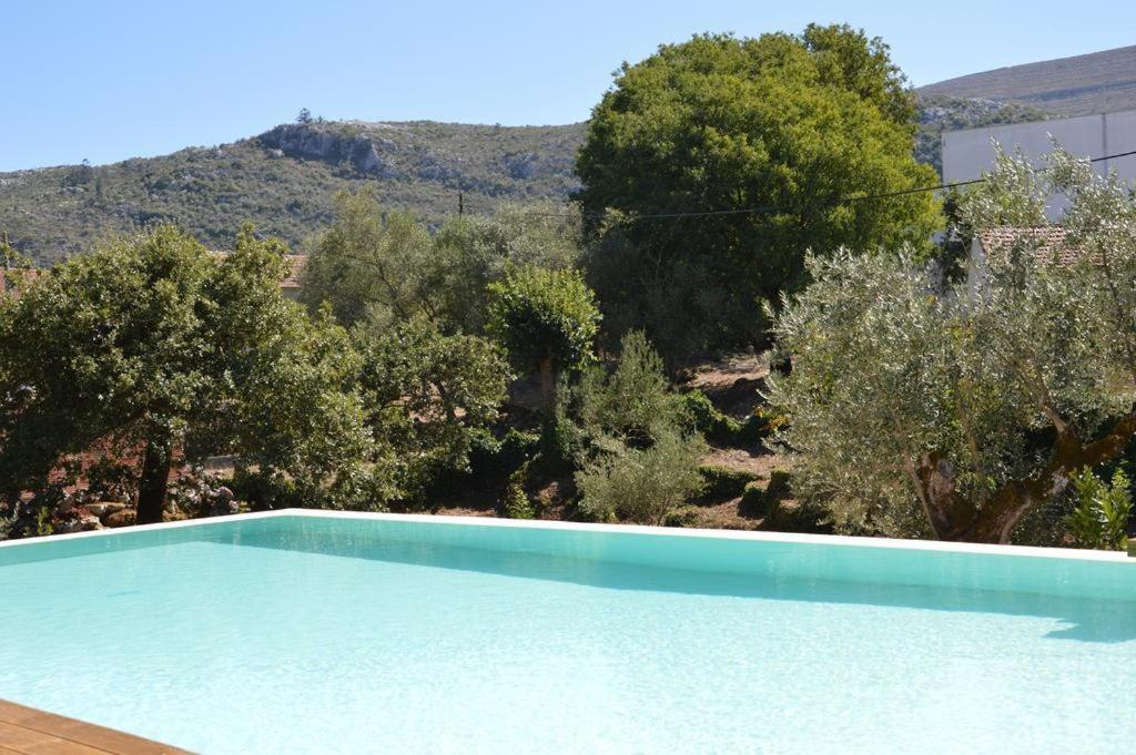 Villa photo 2