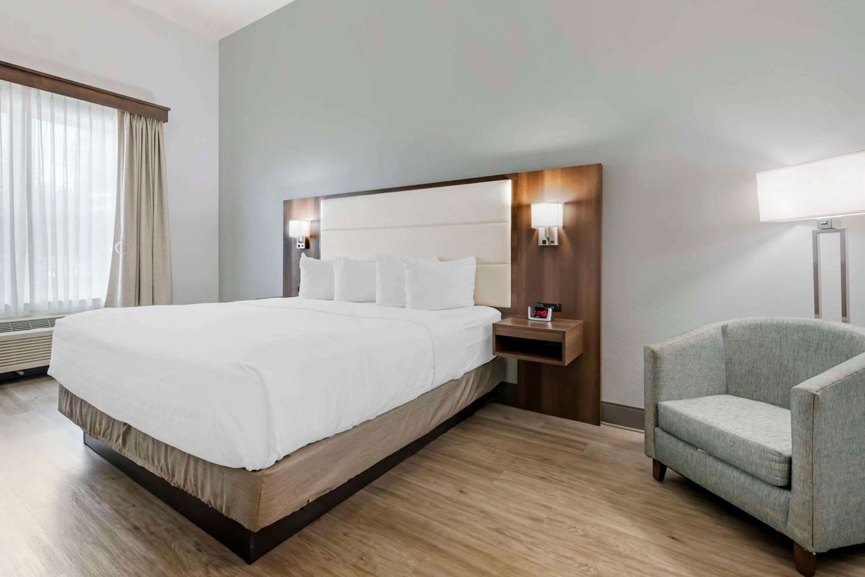King Room with Roll-In Shower - Mobility Access/Communication Assistance - Photo 2