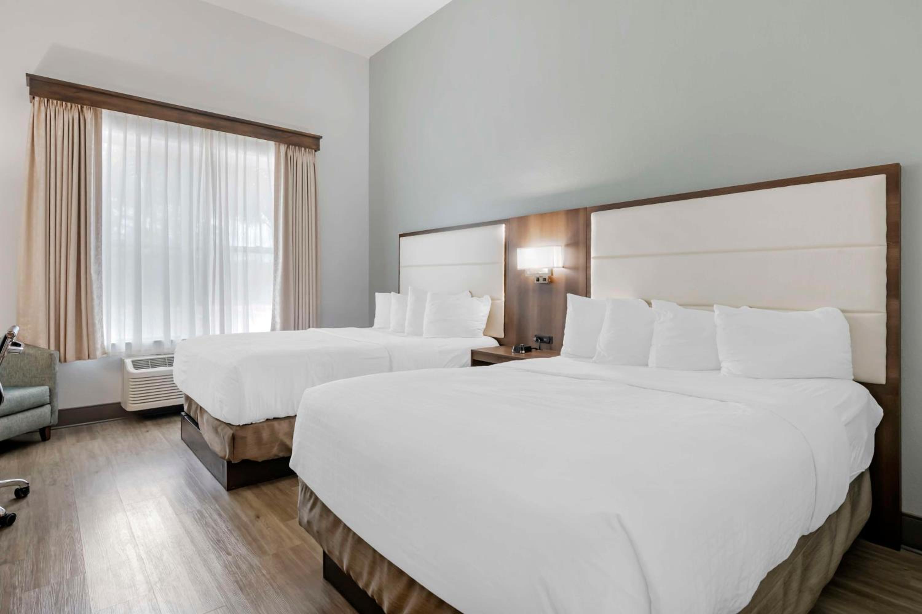 Large Queen Room with Two Queen Beds - Photo 1