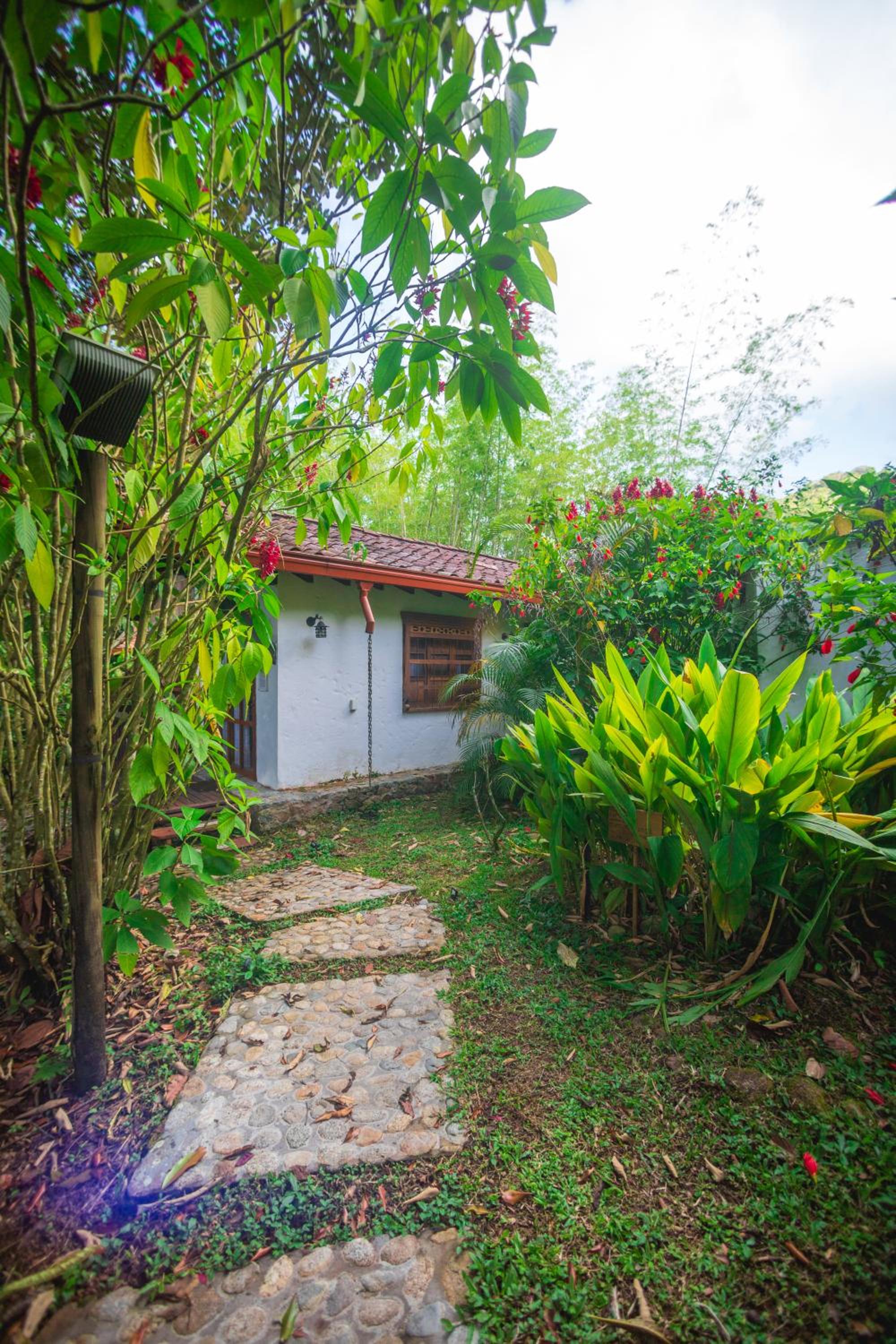 Double Or Twin Room With View photo 2