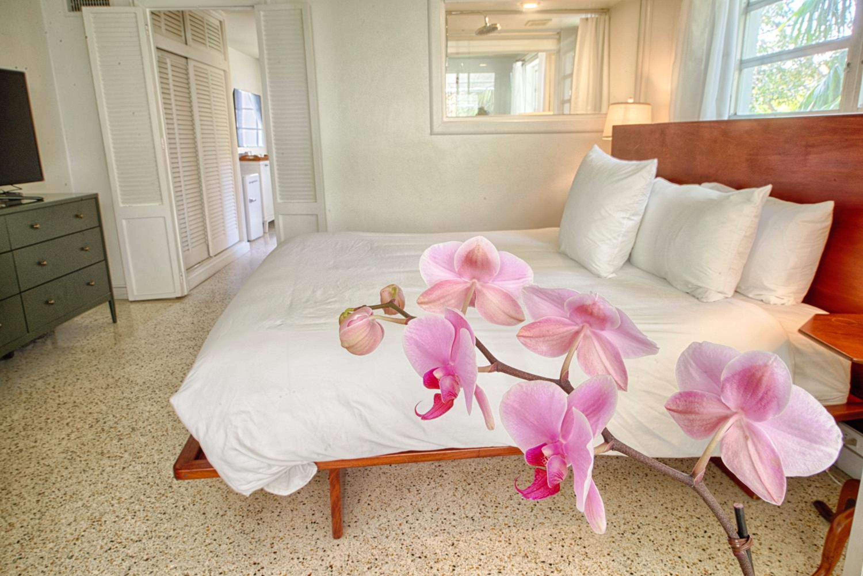 Wild Water Suite (Garden Jacuzzi)