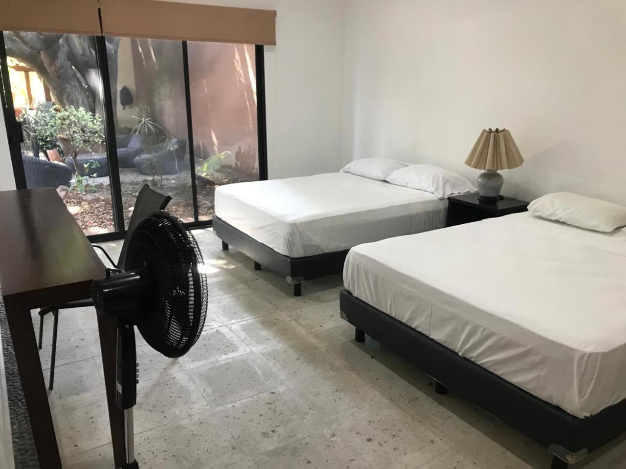 Twin Room With Garden View photo 1