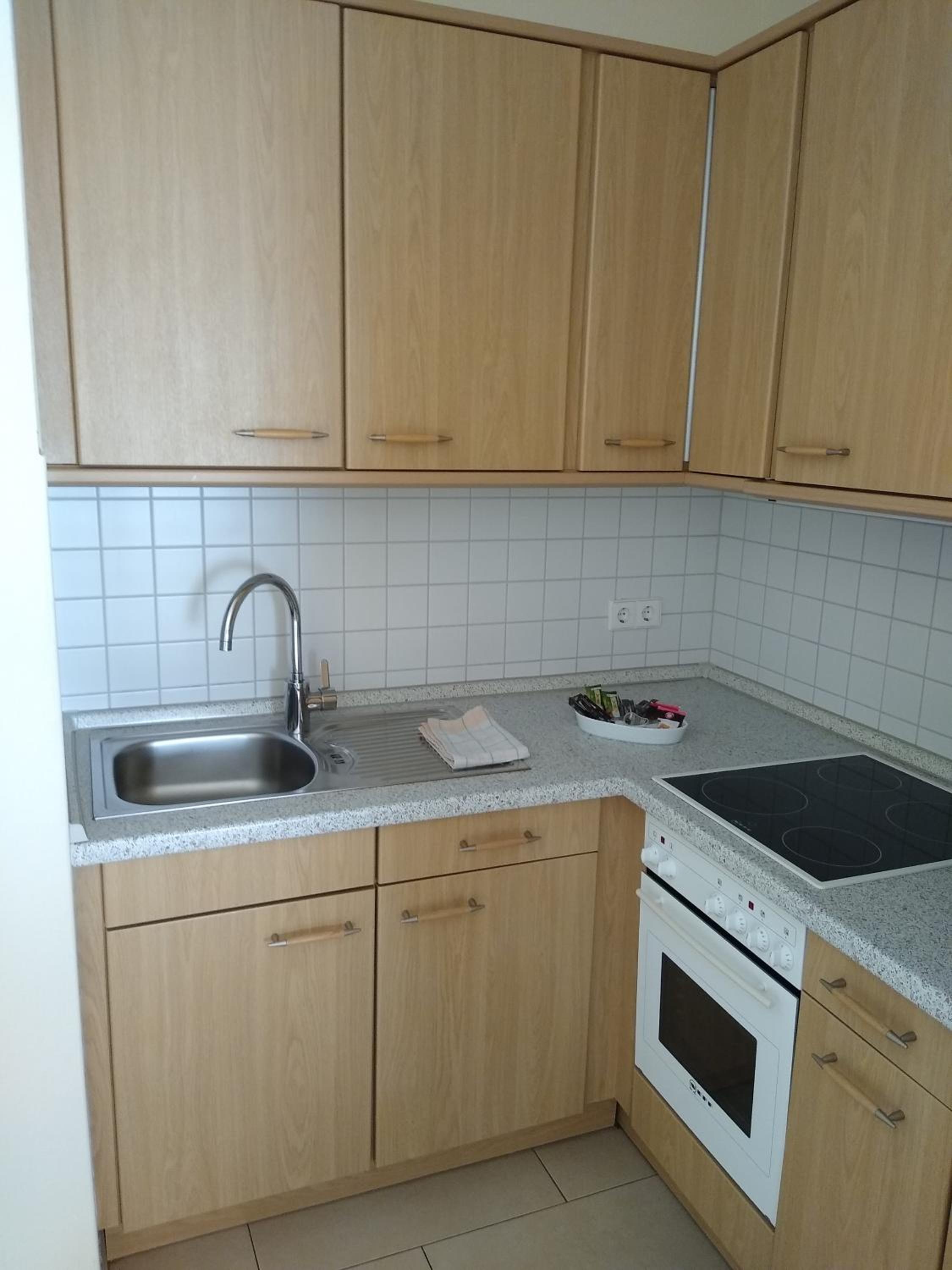 Standard 1-Bedroom Apartment photo 3