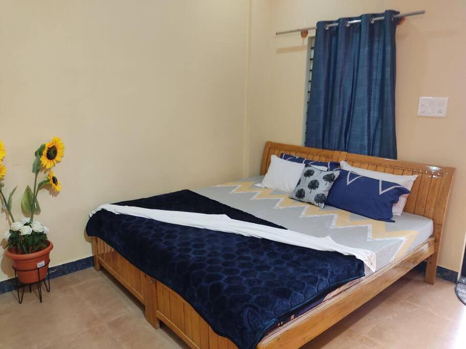 One-Bedroom House photo 1
