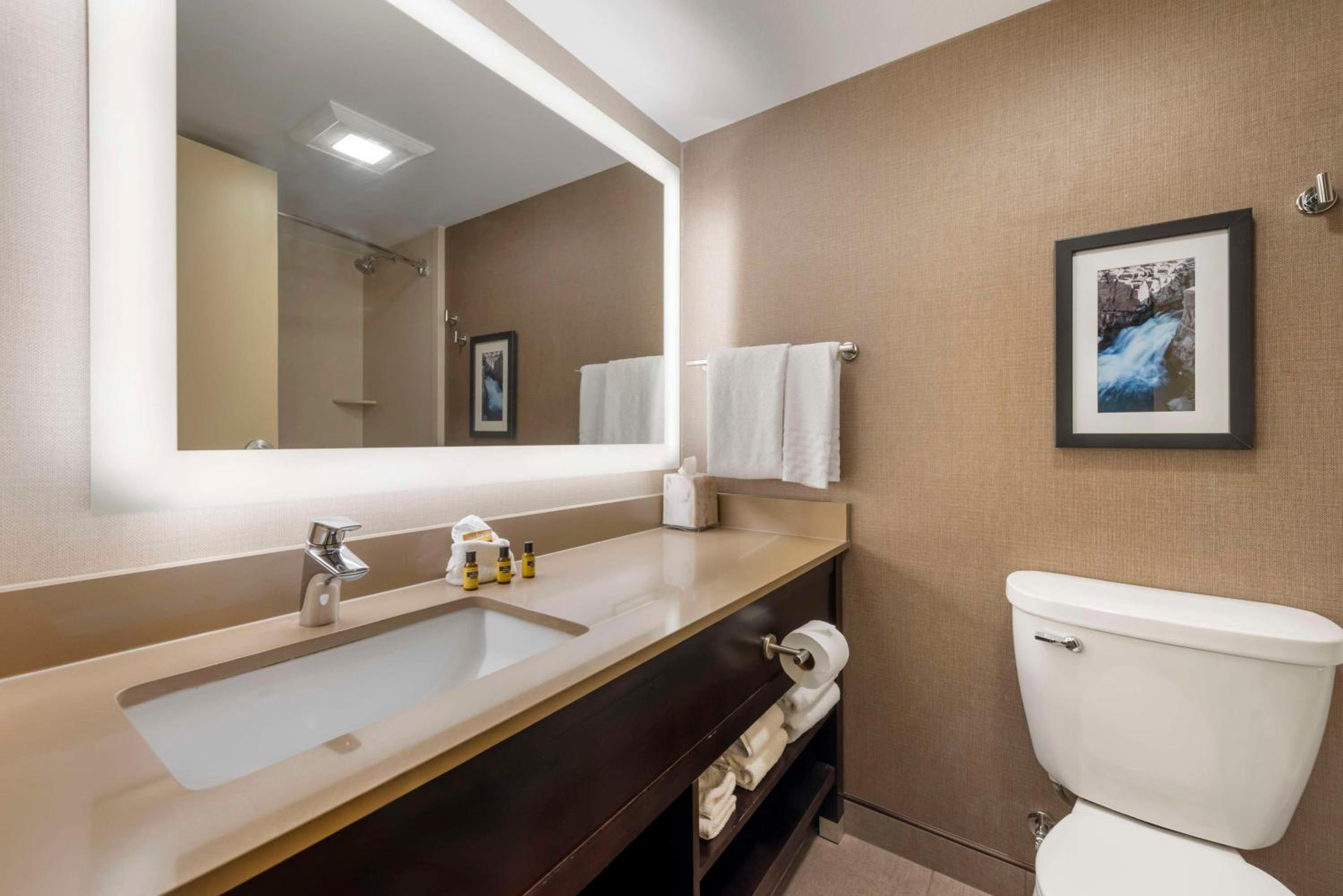 Standard King Suite with Sofa Bed - Non-Smoking - Photo 3