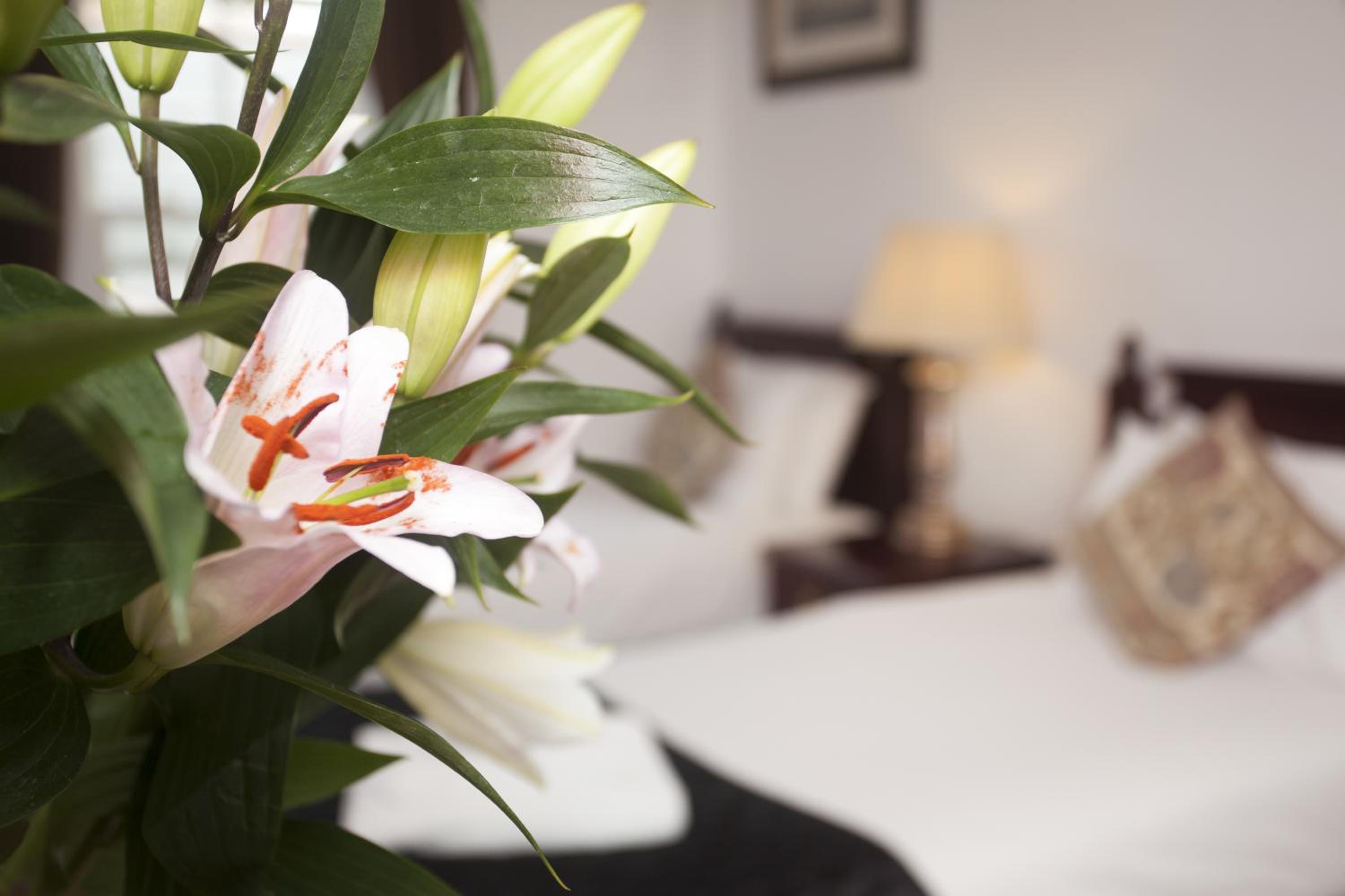 Suite photo 1