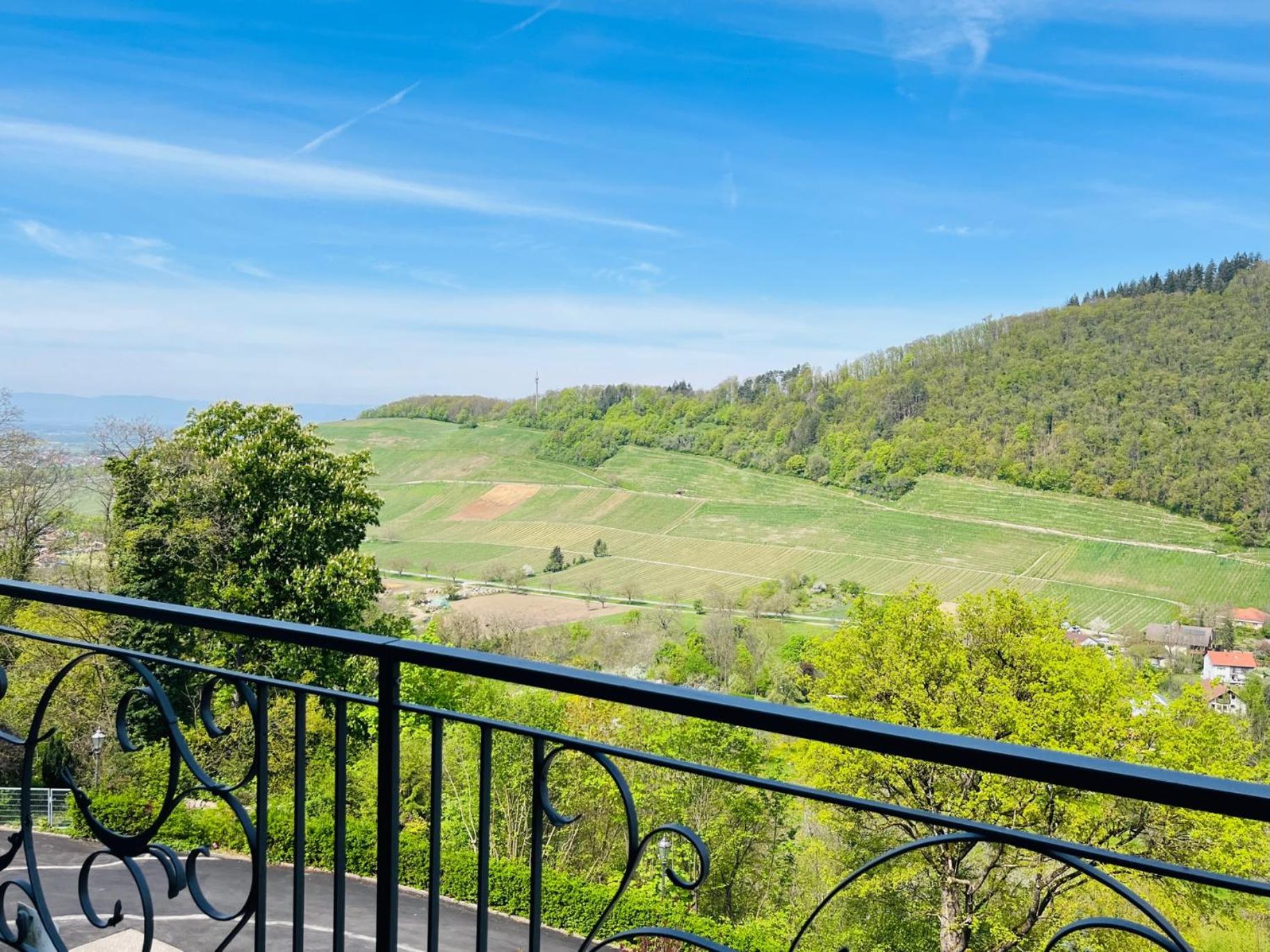Suite 44 Vineyard Side - Photo 4