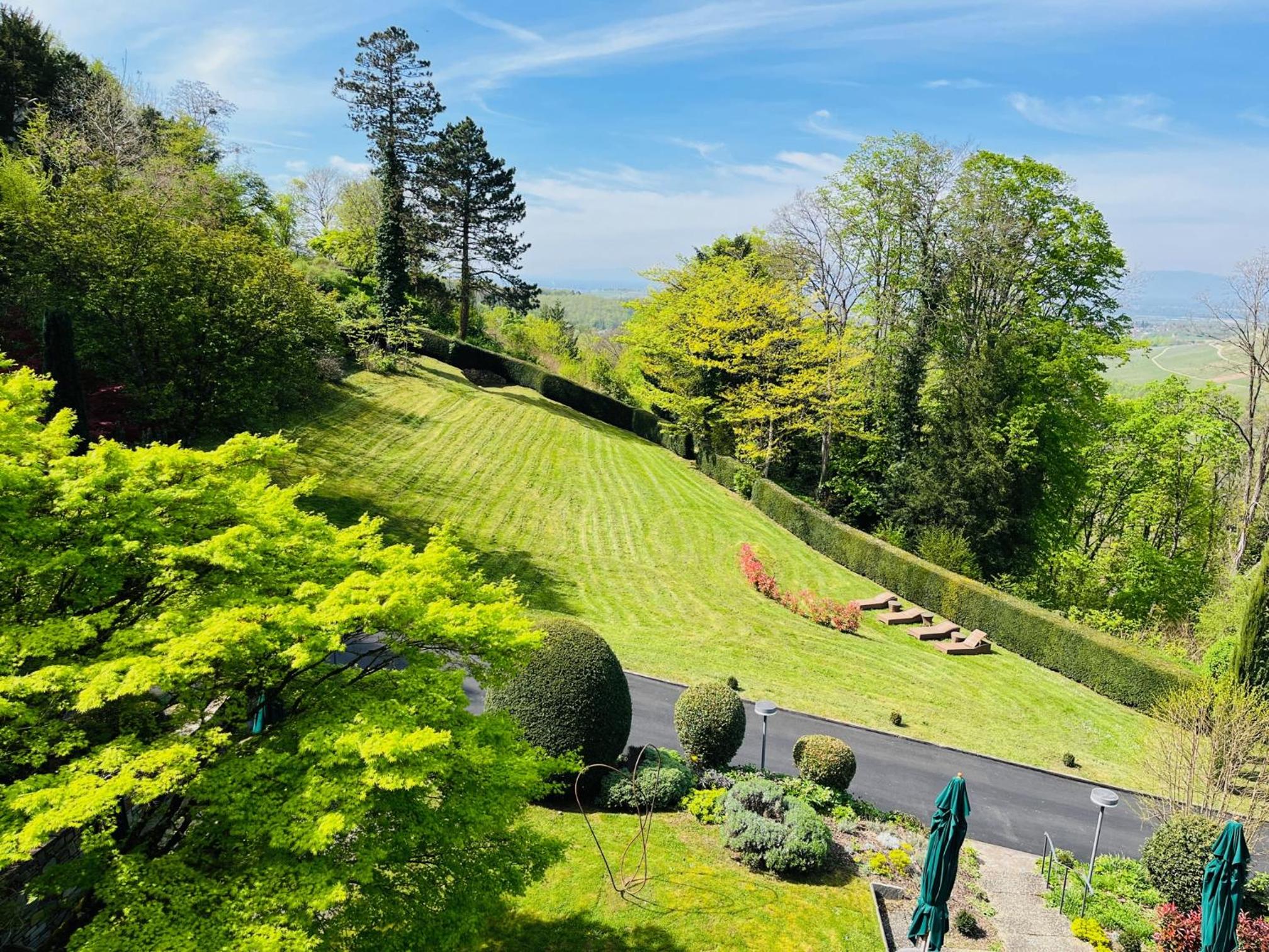 Suite Schlossberg - Photo 5