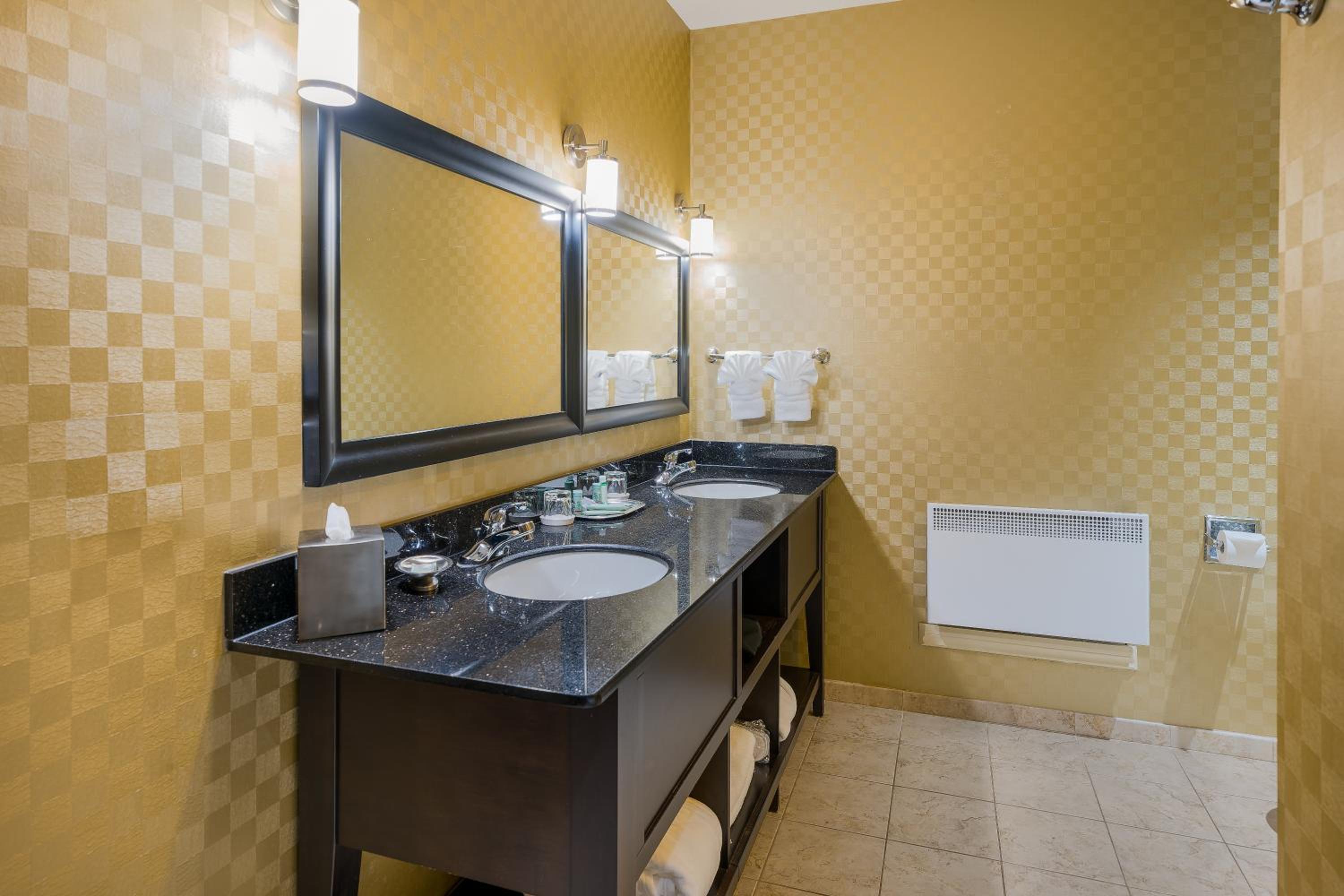 King Suite with Walk-In Shower photo 3
