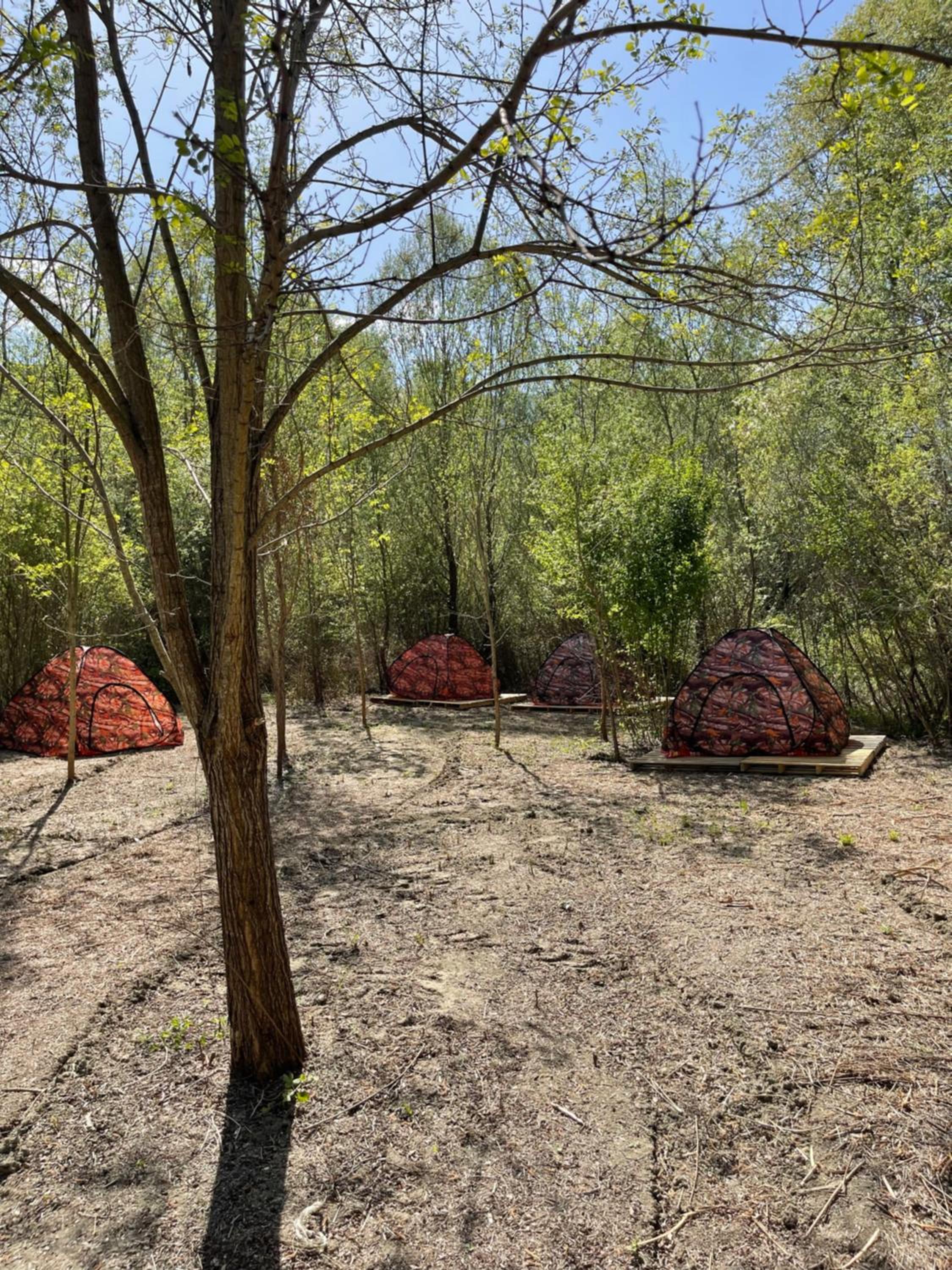 Tent