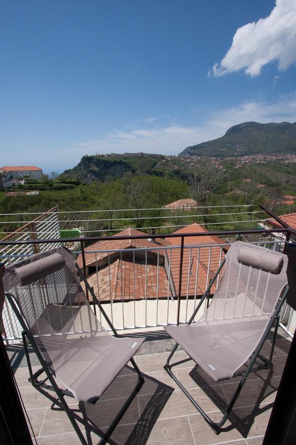 Studio with Balcony photo 3