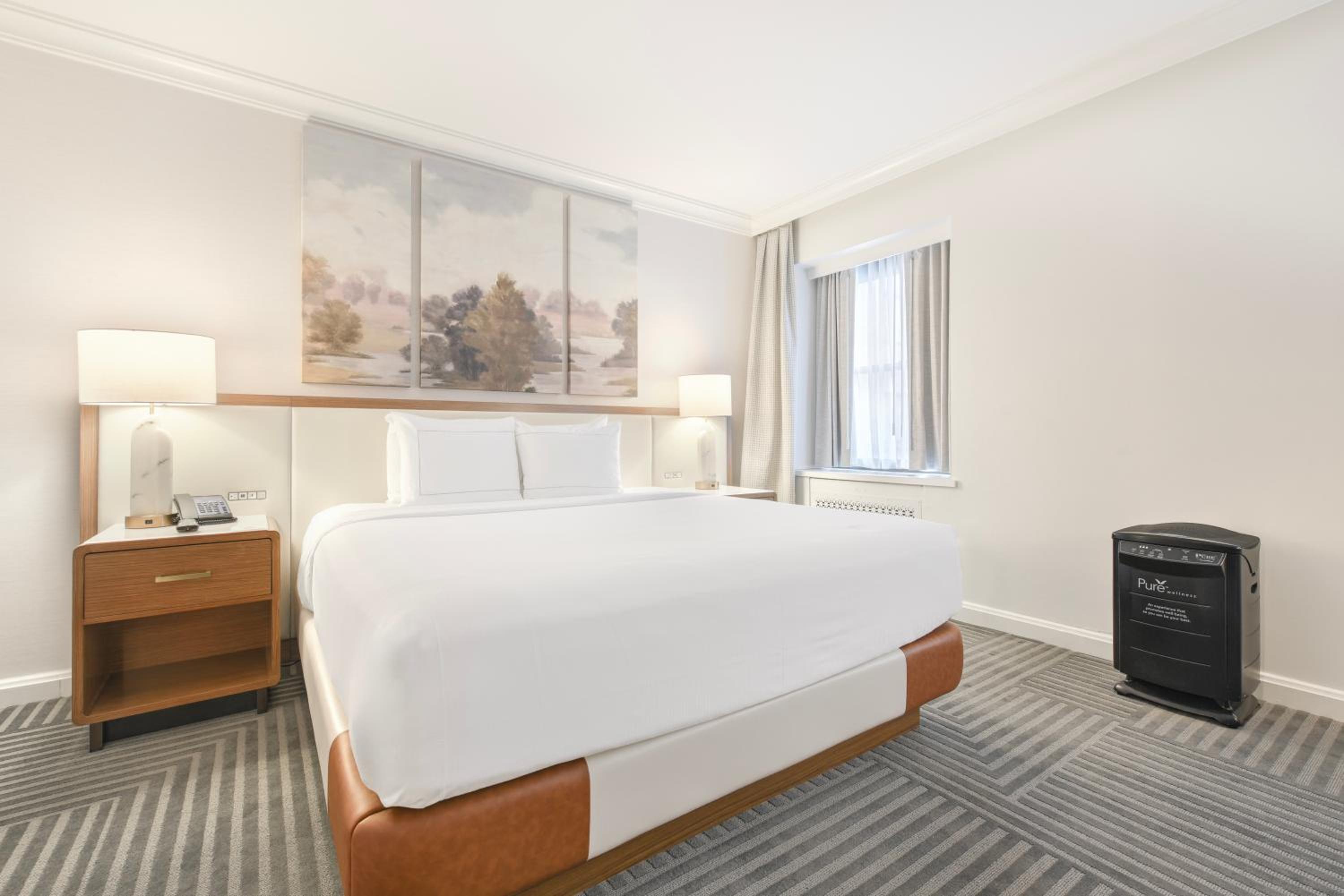 PURE Wellness King Room - Photo 12