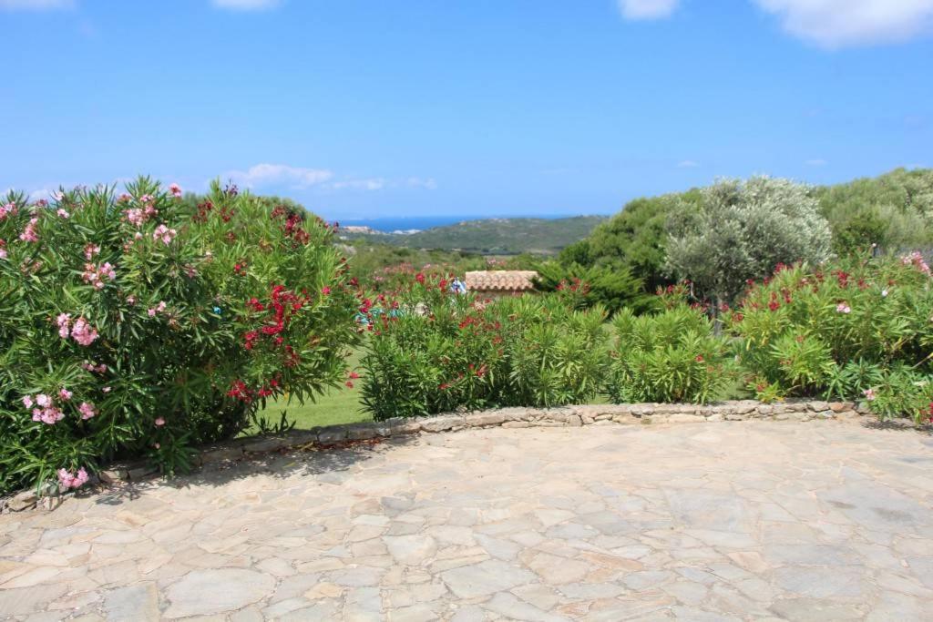 Three-Bedroom Villa photo 2