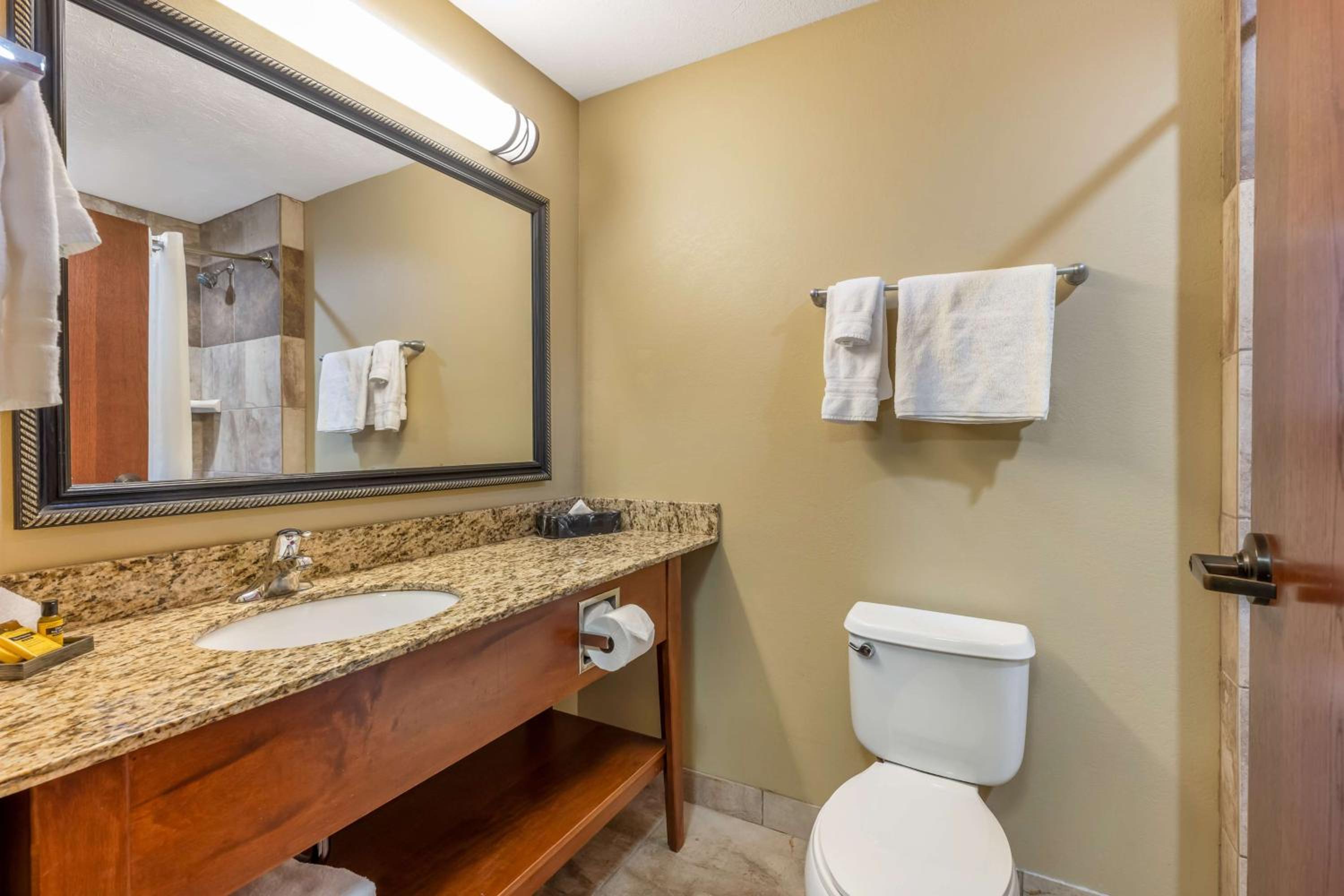 King Room with Shower - Non-Smoking photo 3