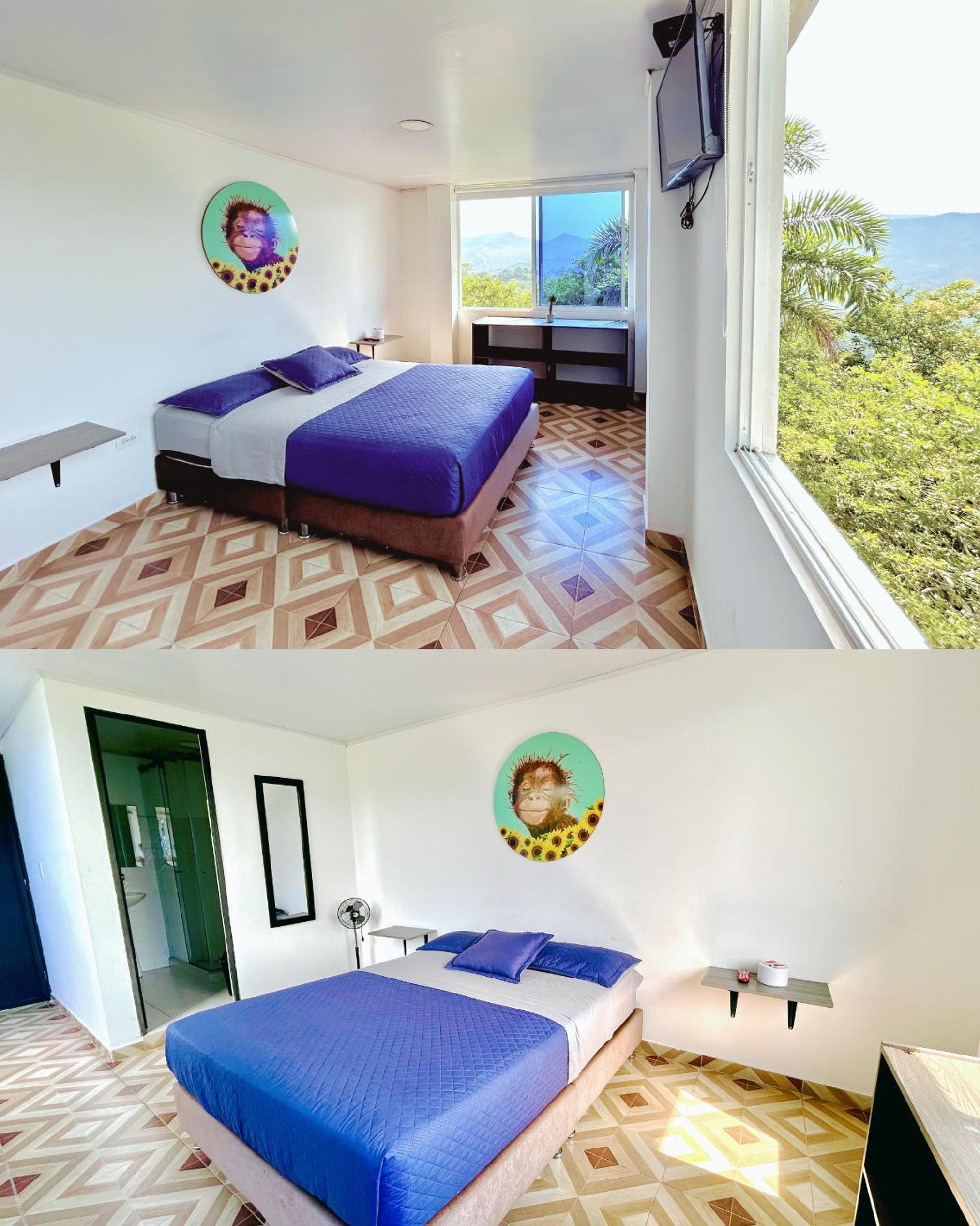 Double Room With Mountain View photo 1
