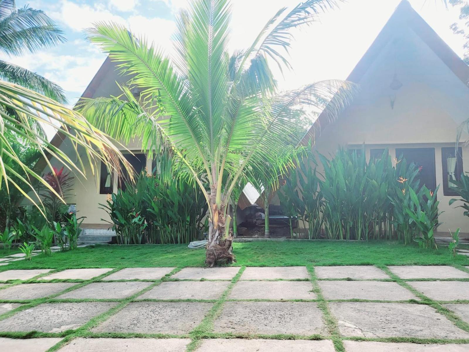 Standard Villa photo 2