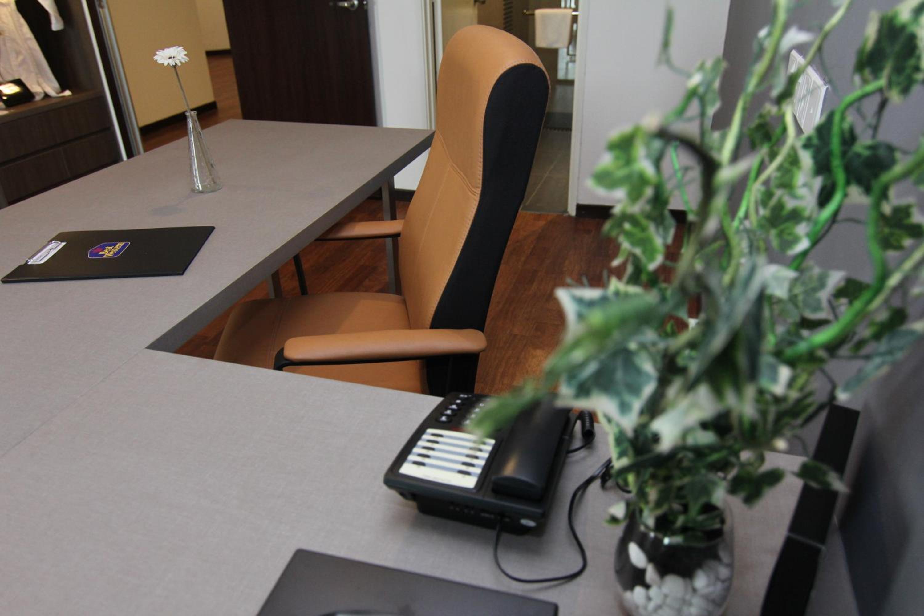 Executive Suite - Photo 15