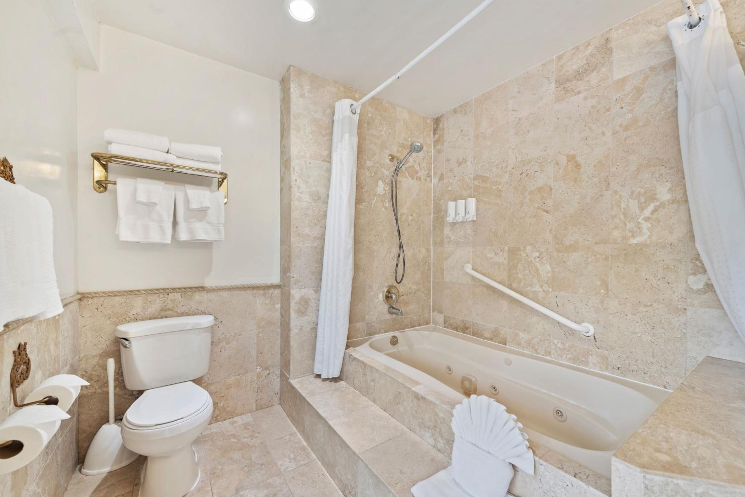 One-Bedroom Suite [South Building] - Photo 12