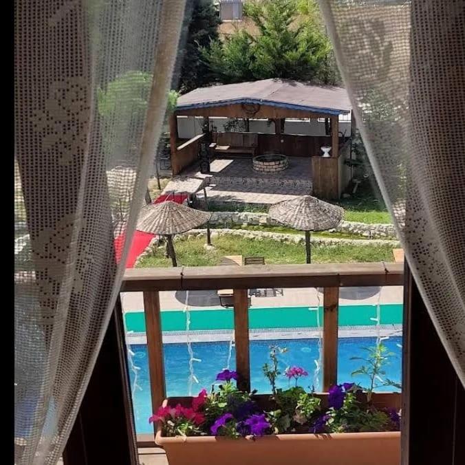 Double Room With Pool View photo 3