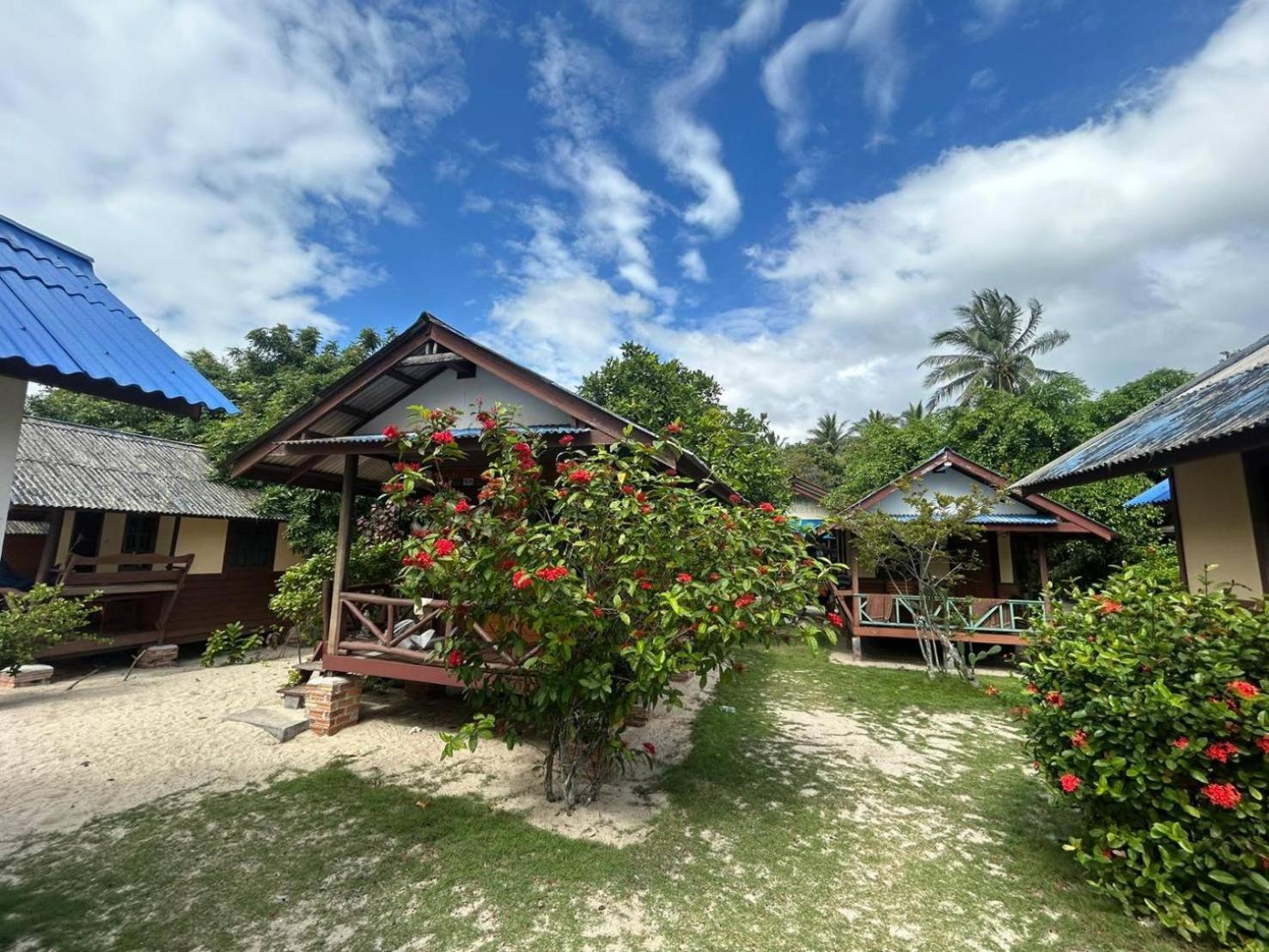Standard Bungalow - Photo 14