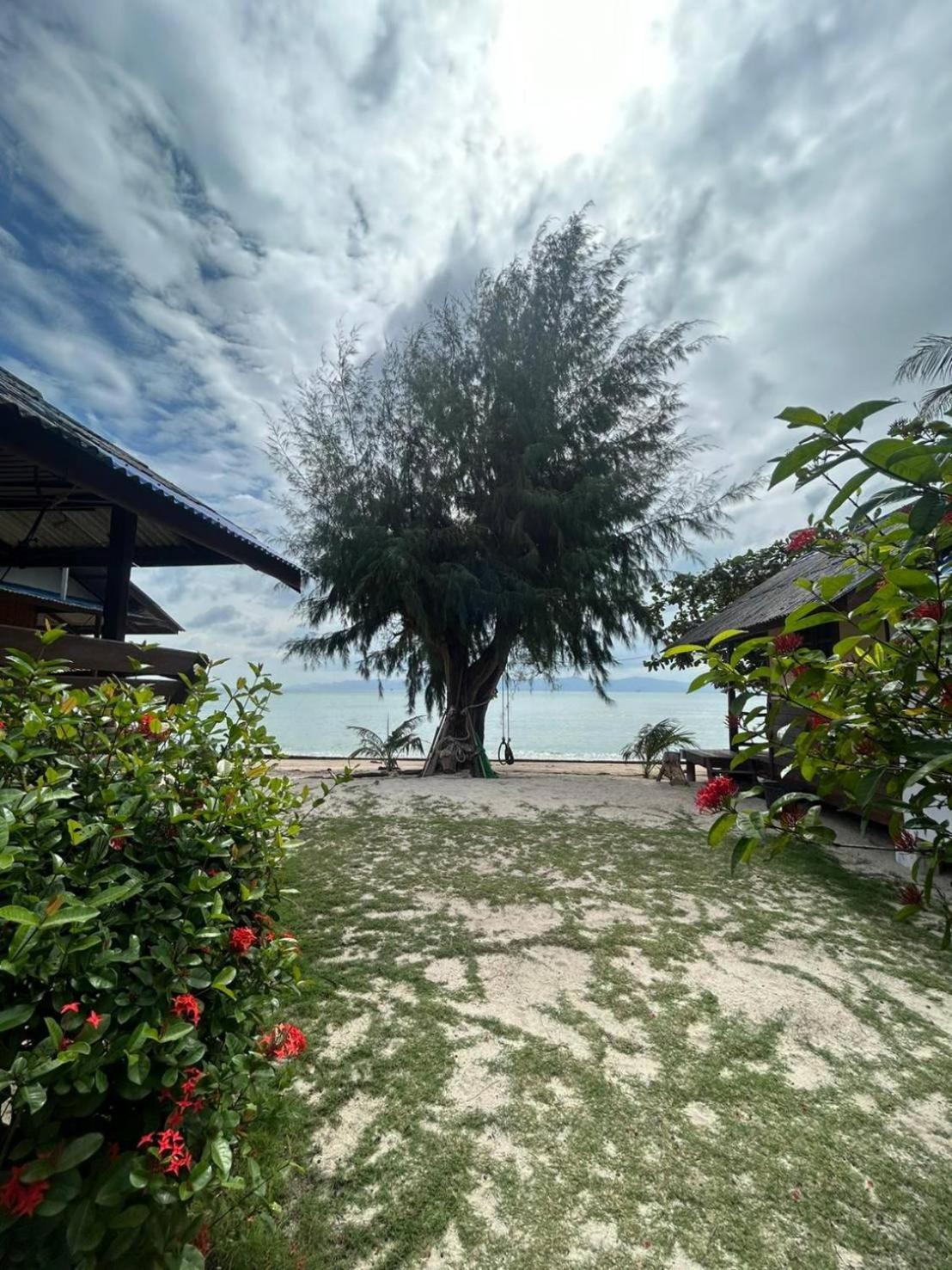 Standard Bungalow - Photo 15