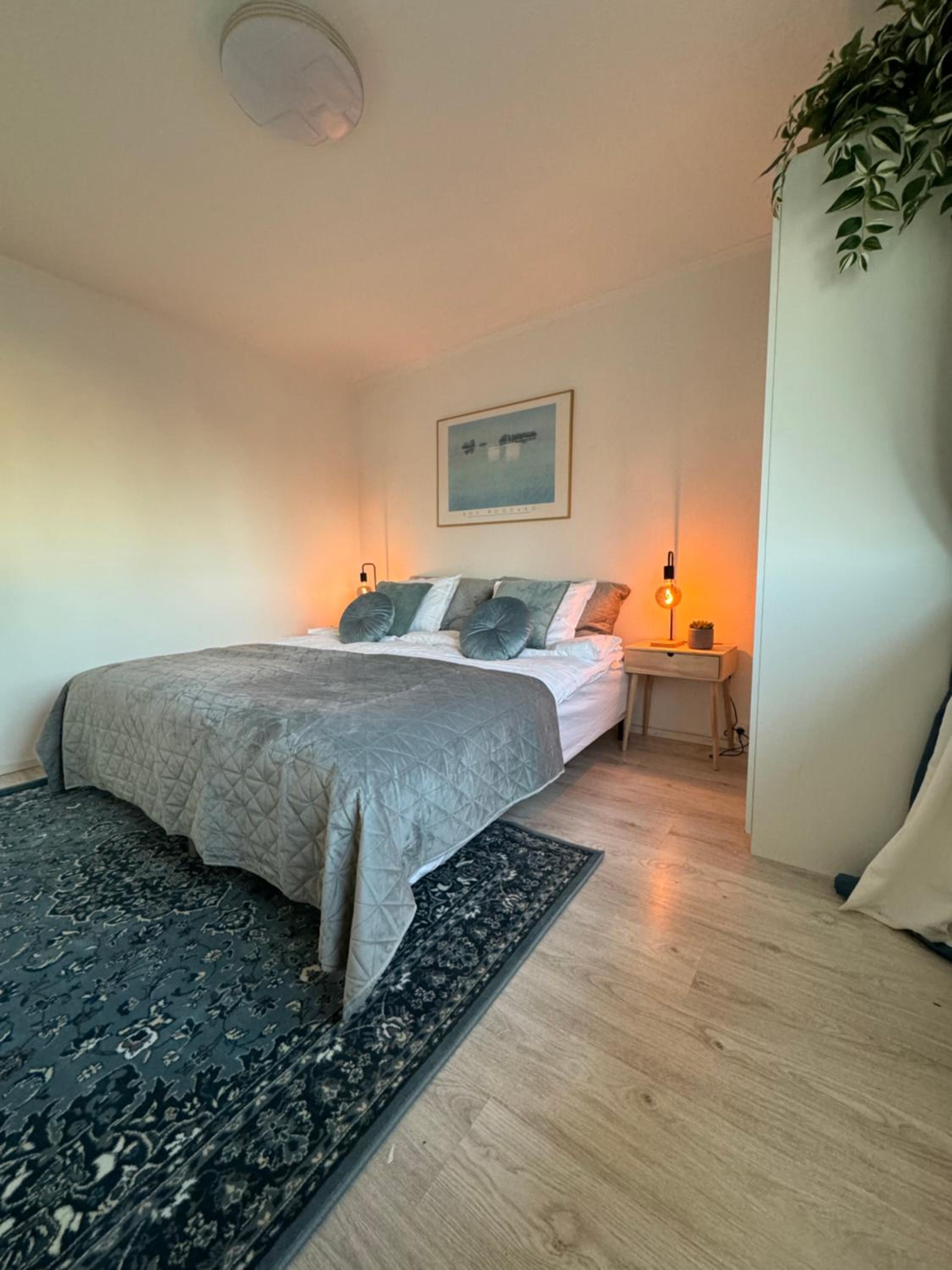 Deluxe Double or Twin Room photo 3
