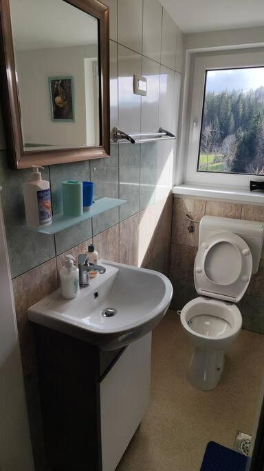 One-Bedroom House photo 3