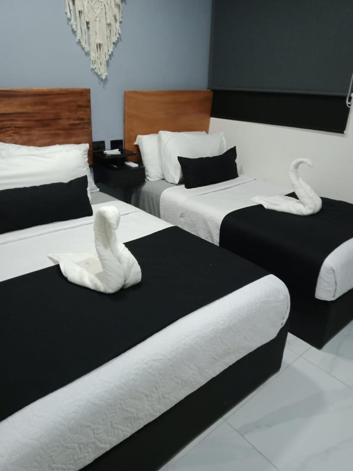 Twin Room photo 2