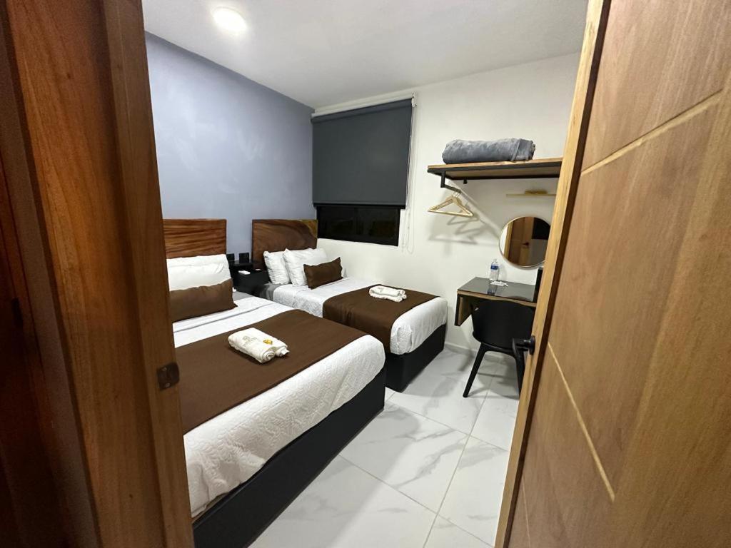 Twin Room photo 3