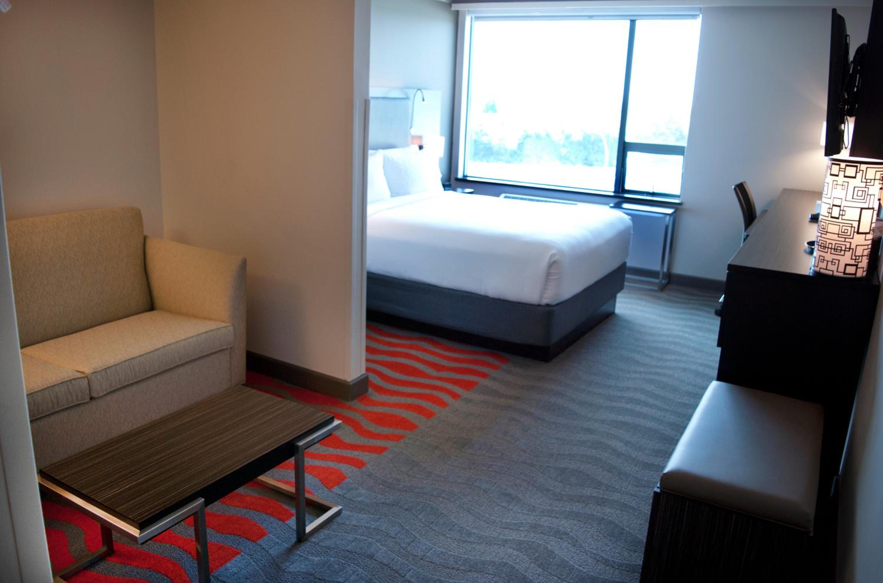 Queen Suite with Sofa Bed - Photo 1