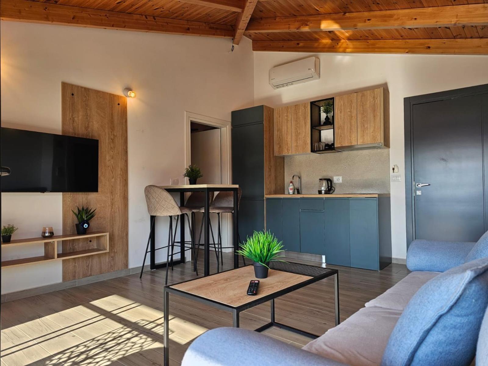 Deluxe One-Bedroom Apartment