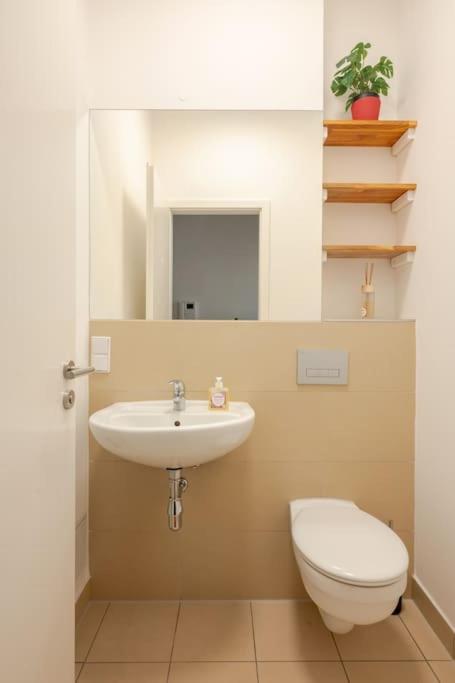 Deluxe Apartment photo 3