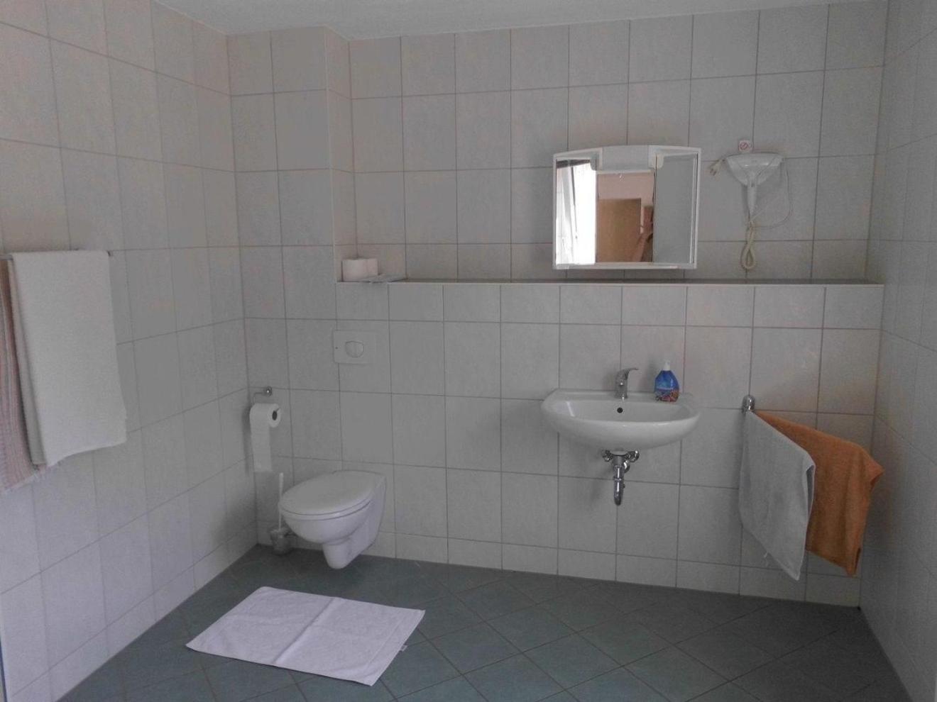 One-Bedroom Apartment photo 3