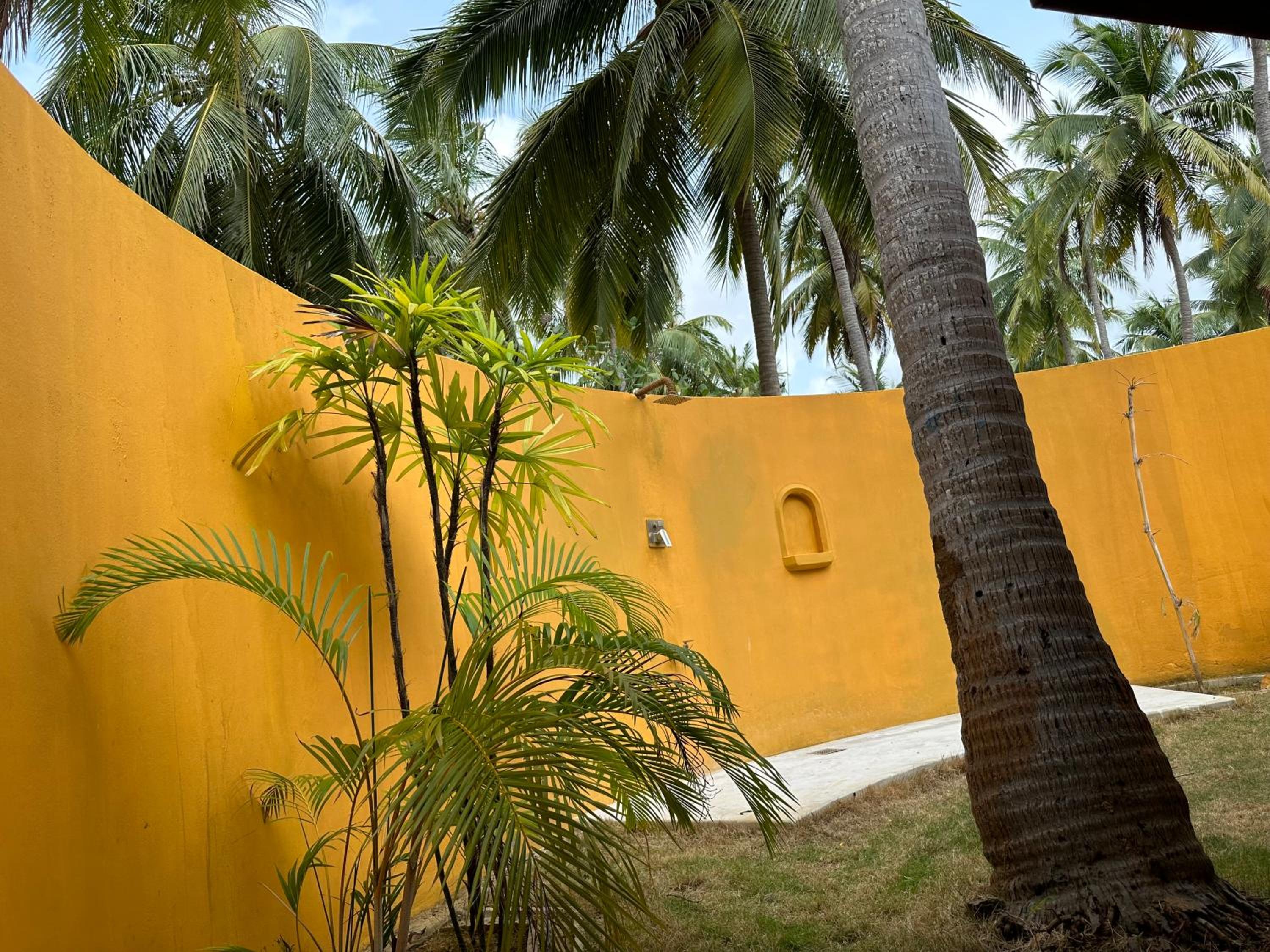 Deluxe Bungalow photo 3
