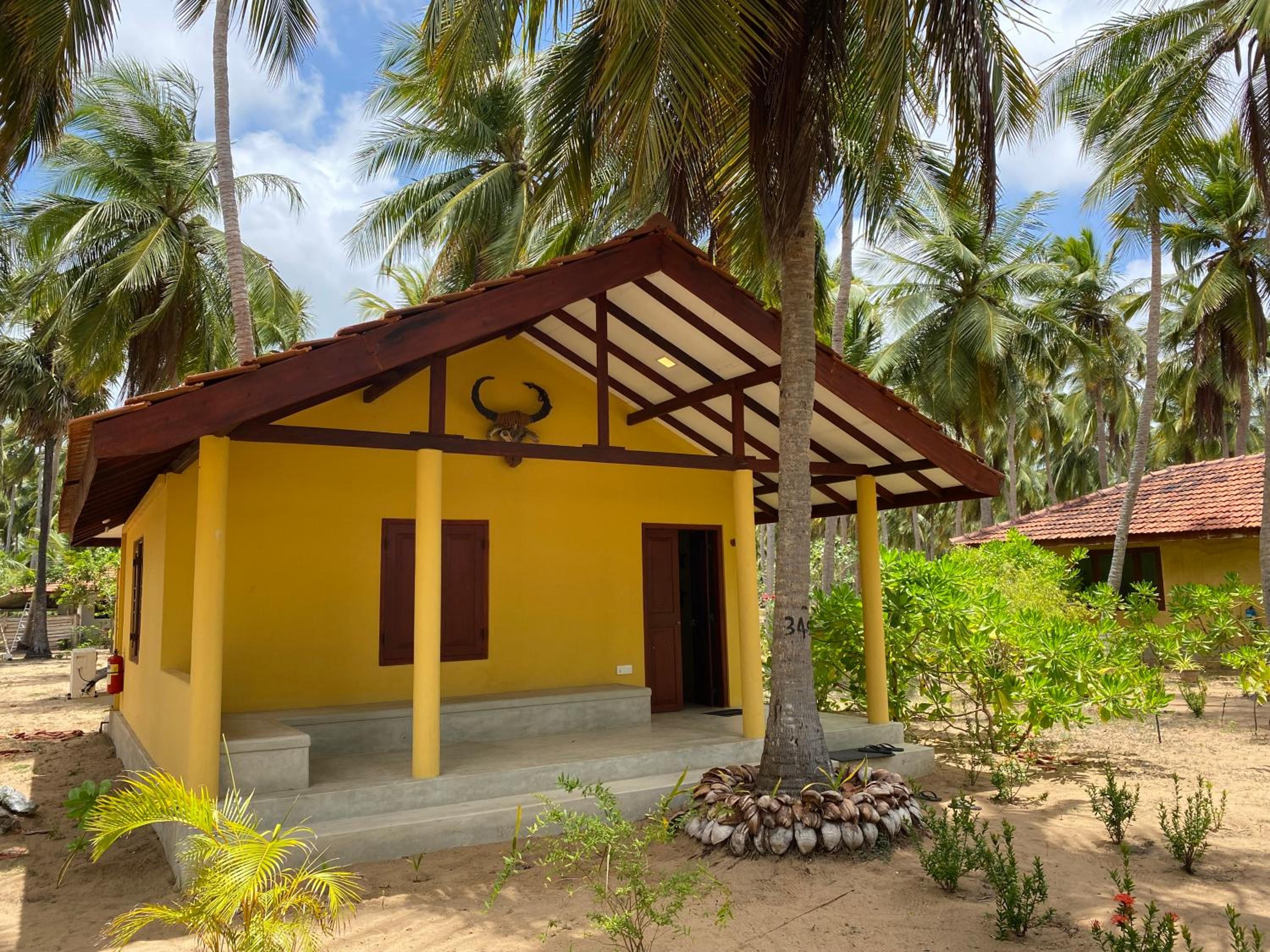 Deluxe Bungalow photo 3