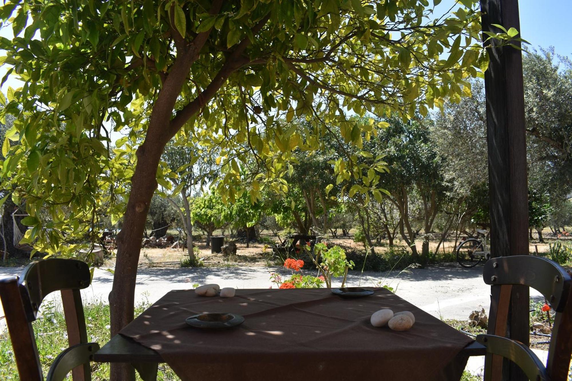 Apartment With Garden View photo 2