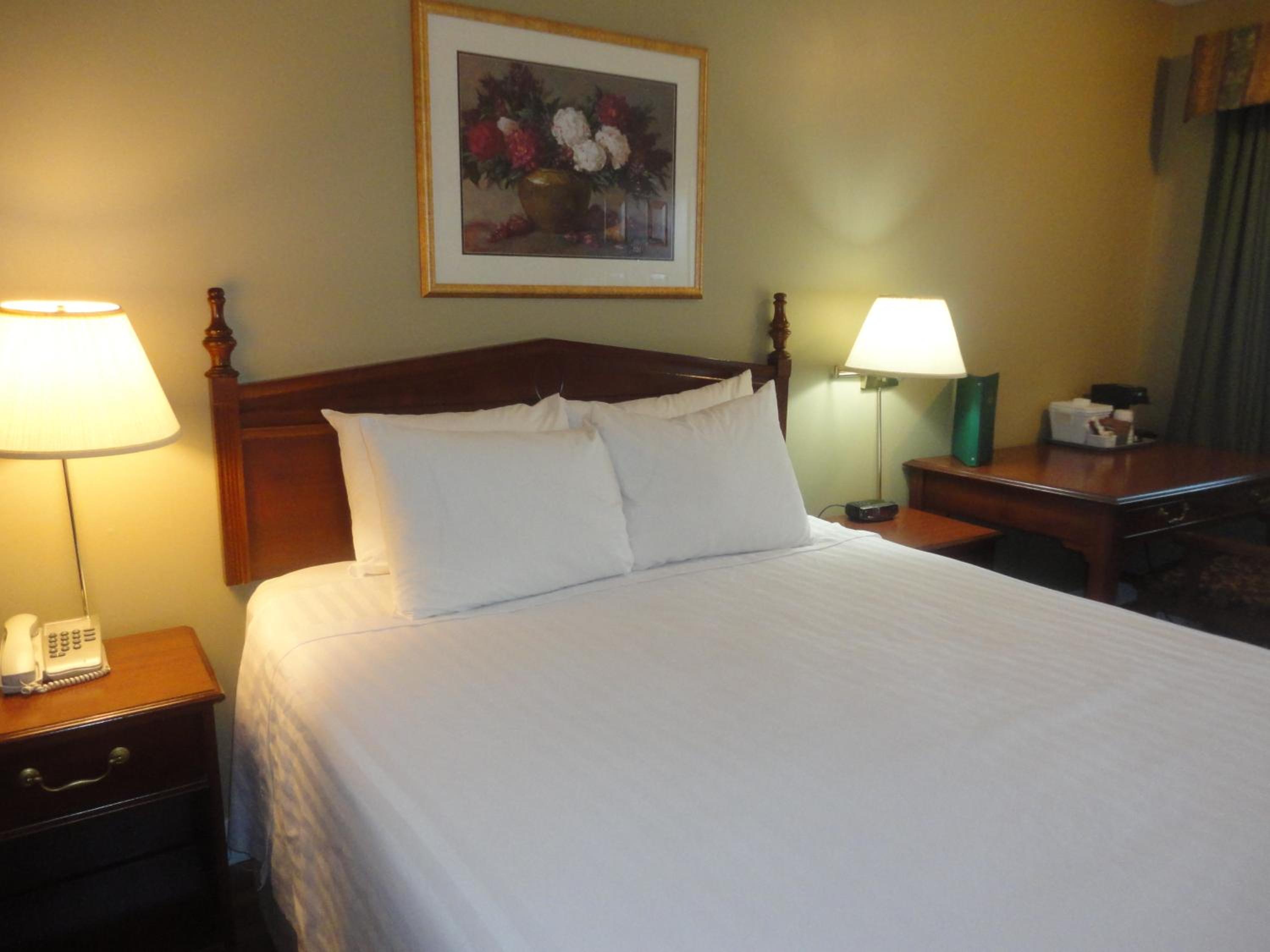 Queen Room - Disability Access - Non-Smoking - Photo 5