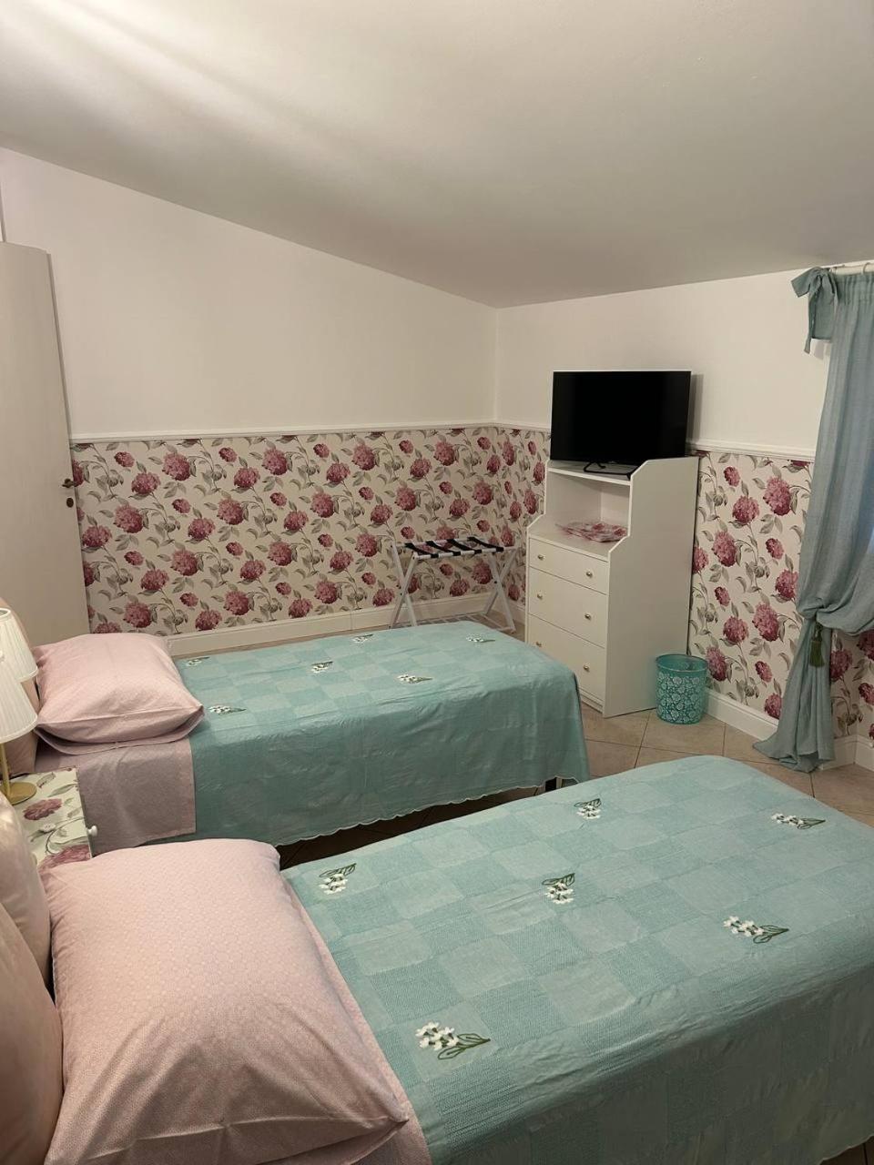 Twin Room photo 3