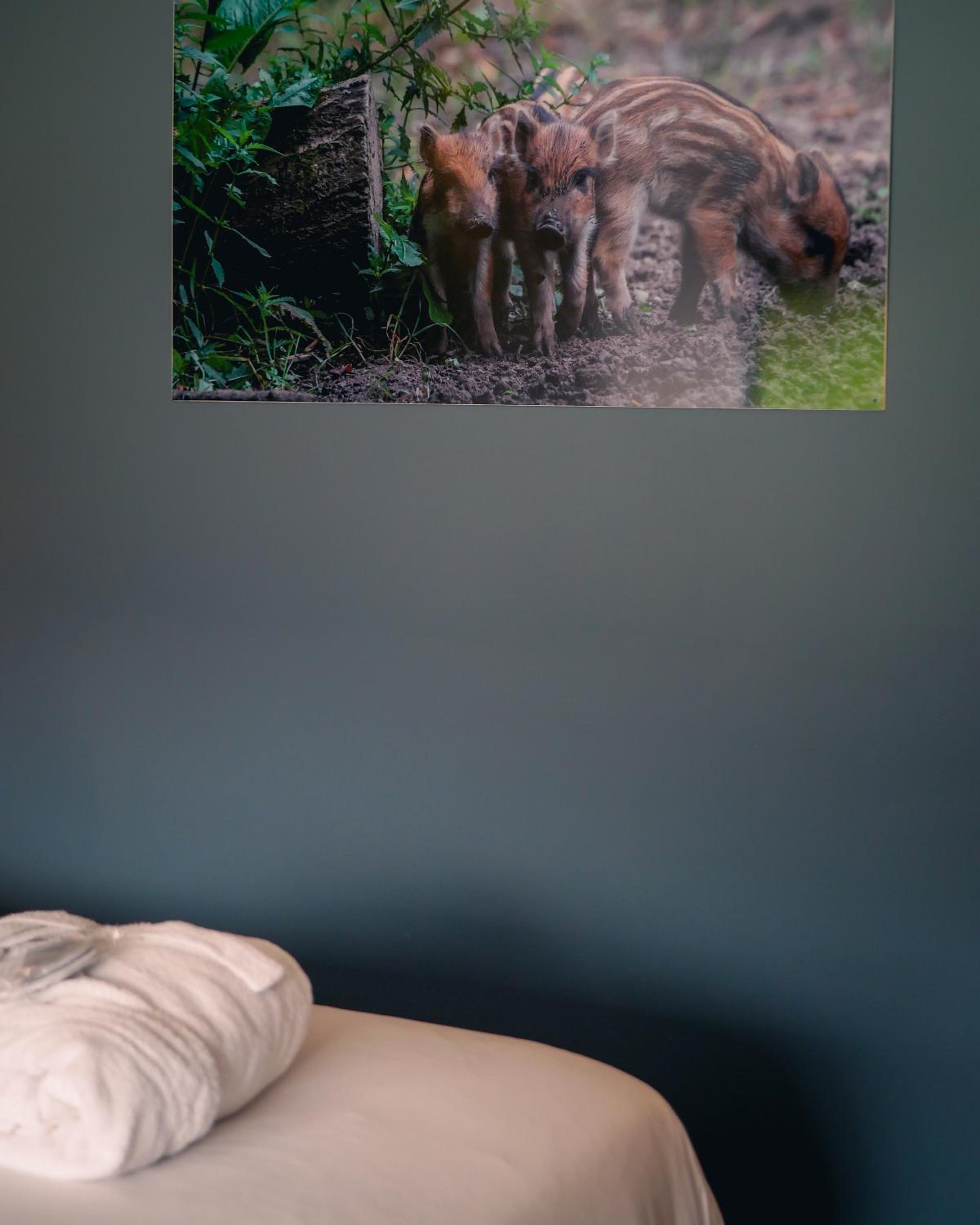 Double Or Twin Room photo 1