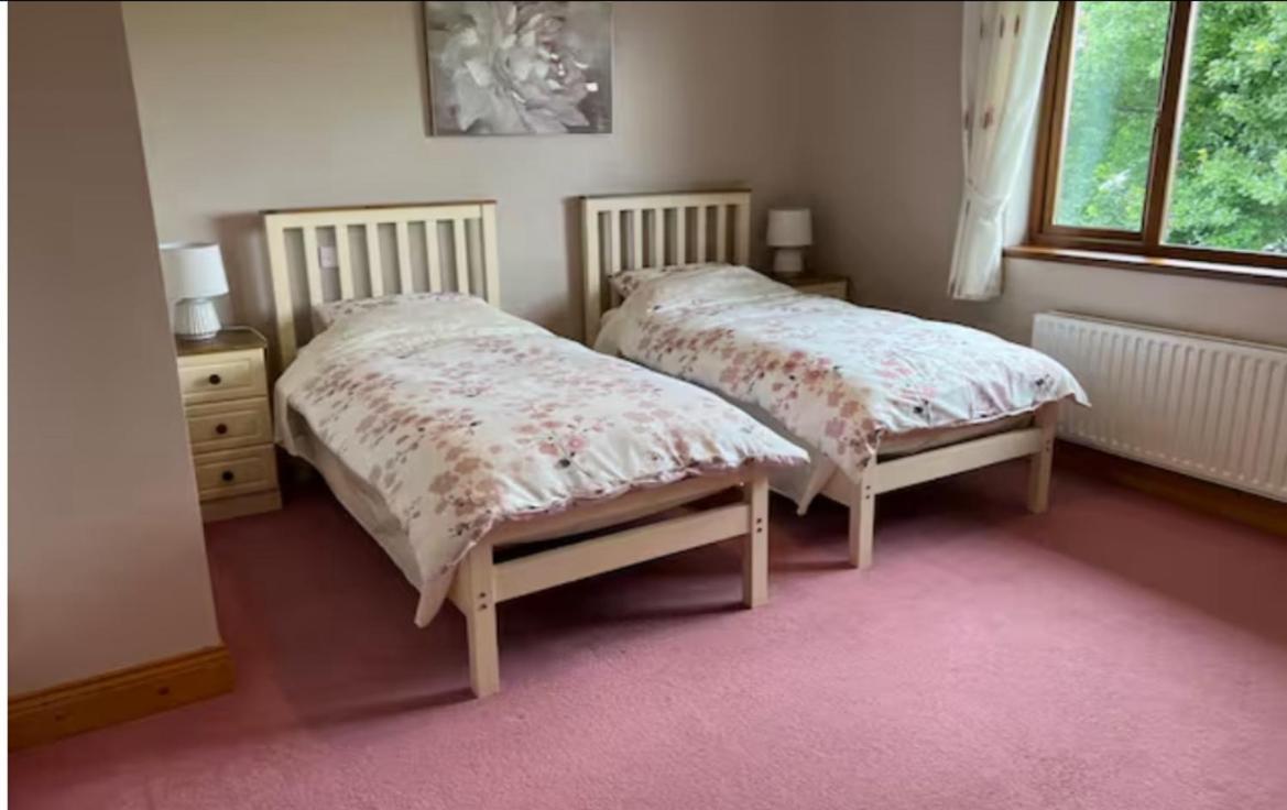 Large Twin Room photo 1