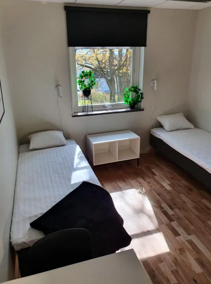 Twin Room with Shared Bathroom photo 3