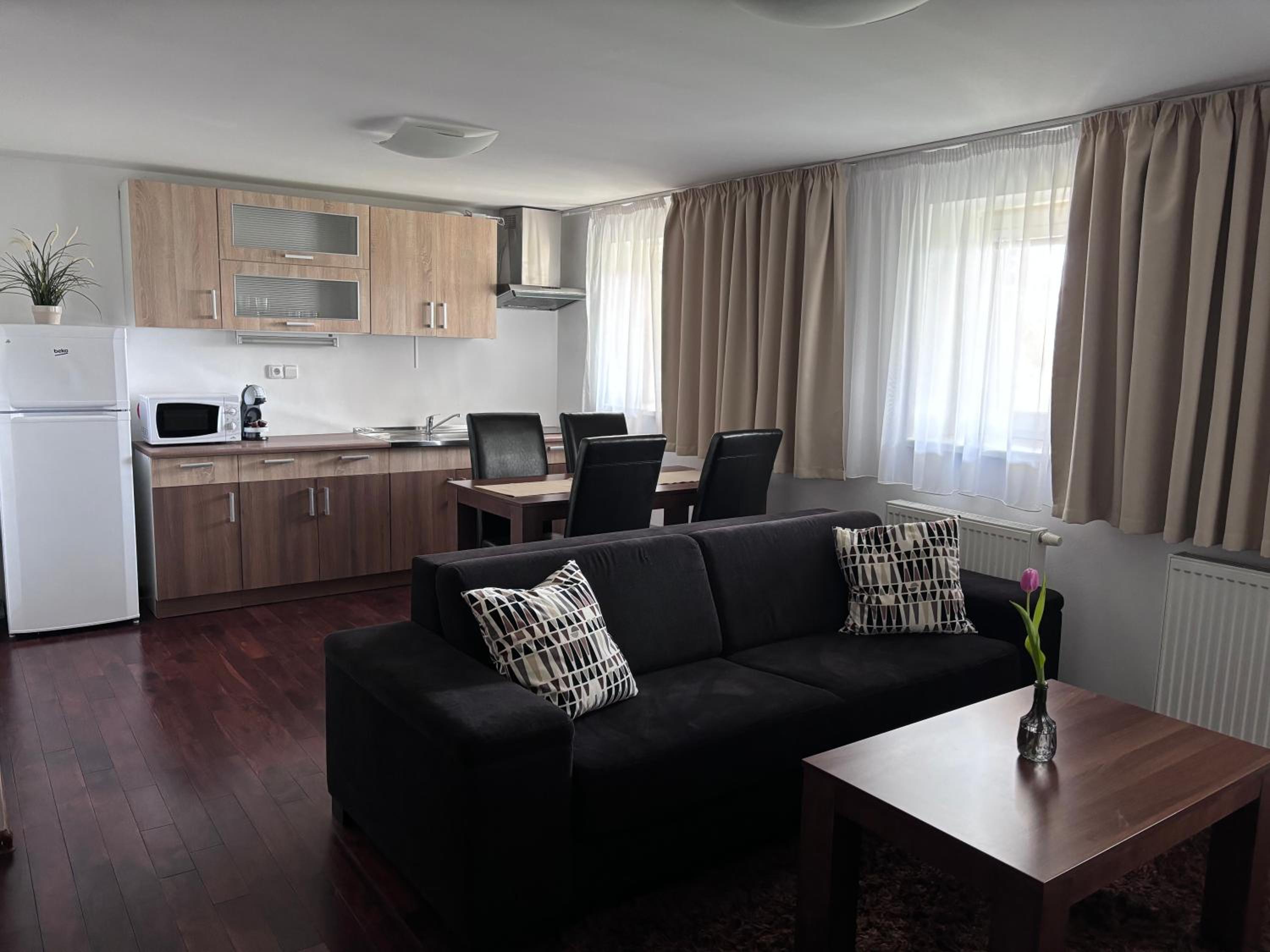 Standard Apartment photo 1