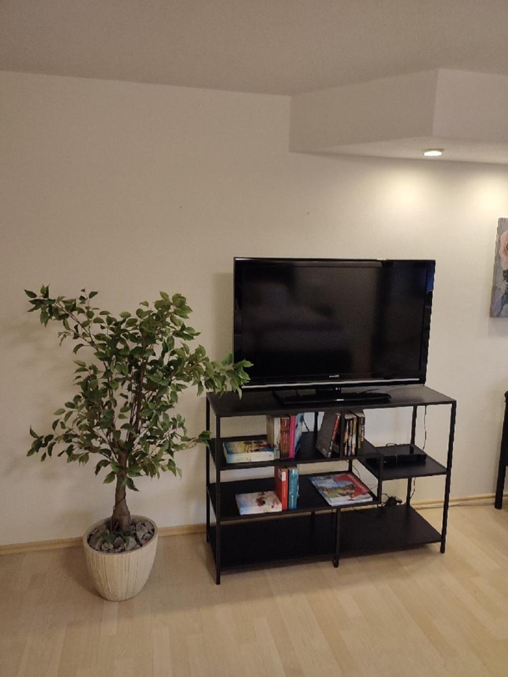 Two-Bedroom Apartment photo 3